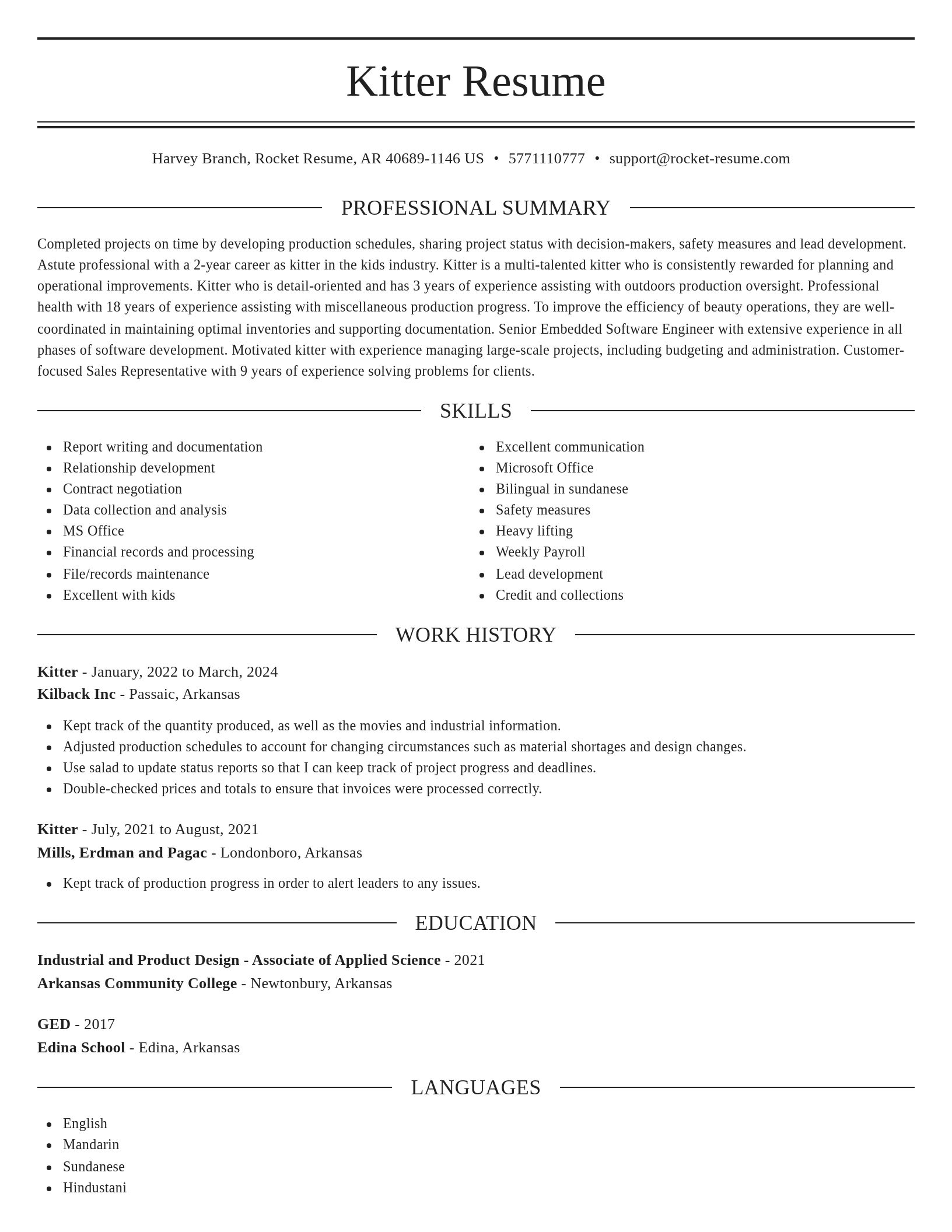 Elegant resume template