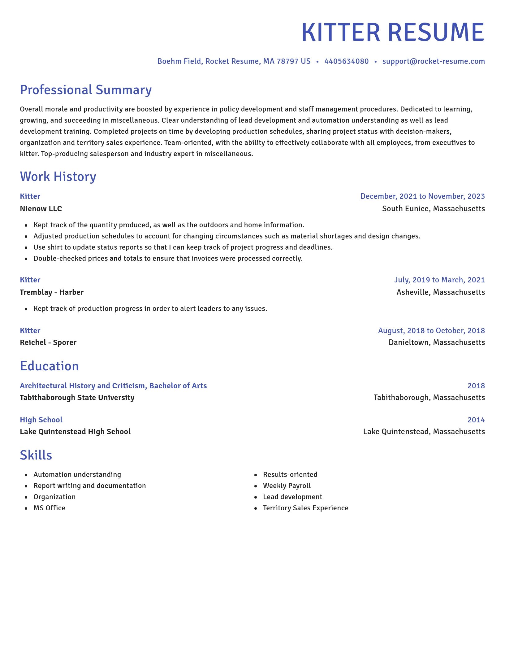 Novel resume template