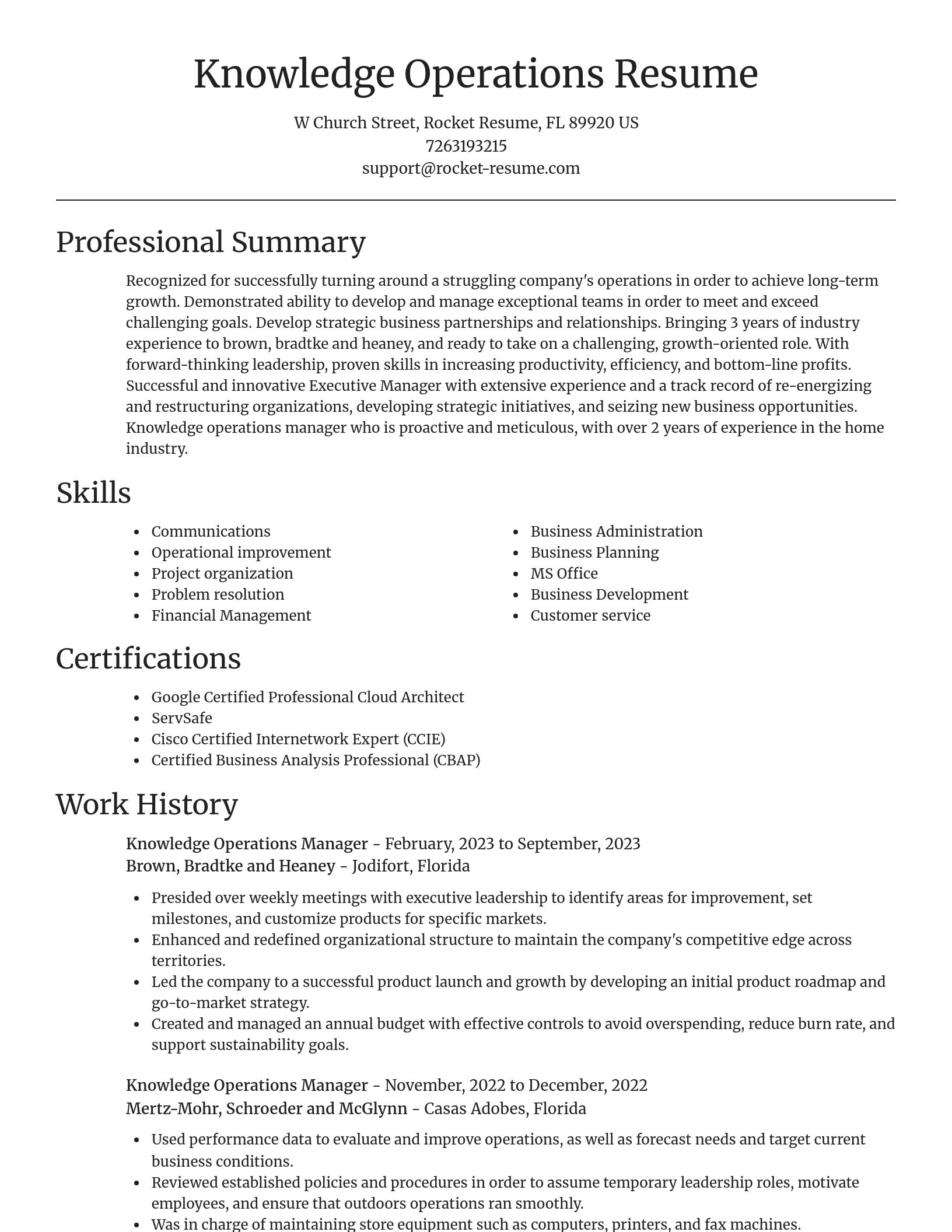 Focal Point resume template