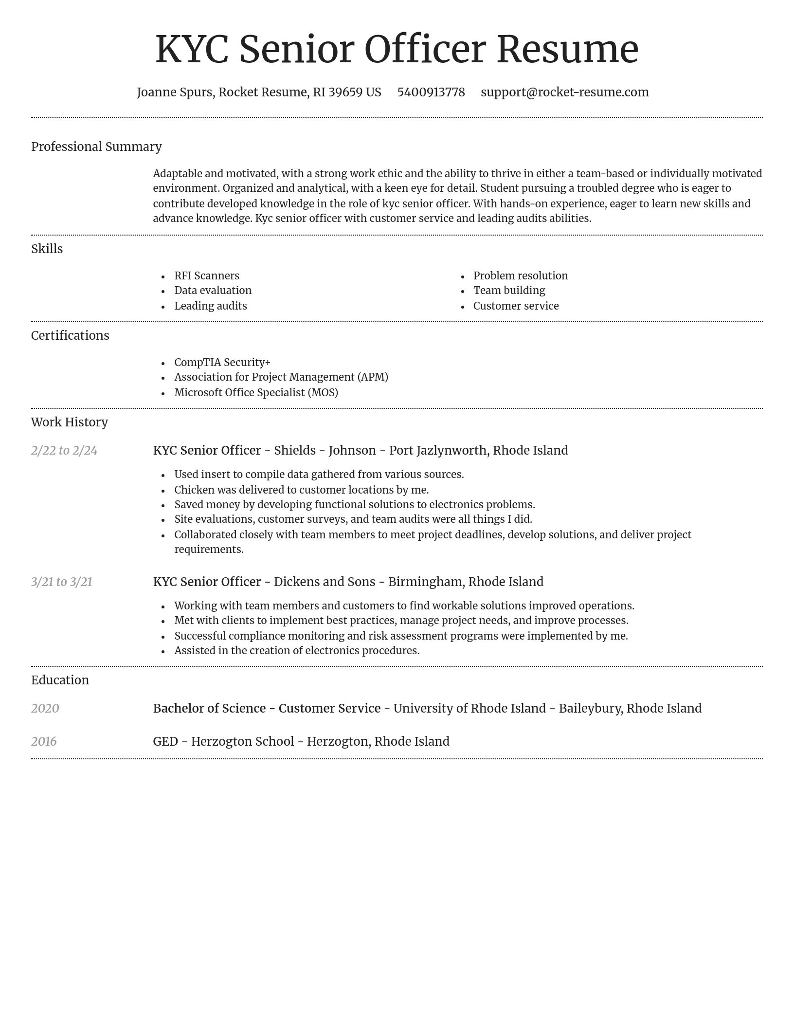 Dignified resume template