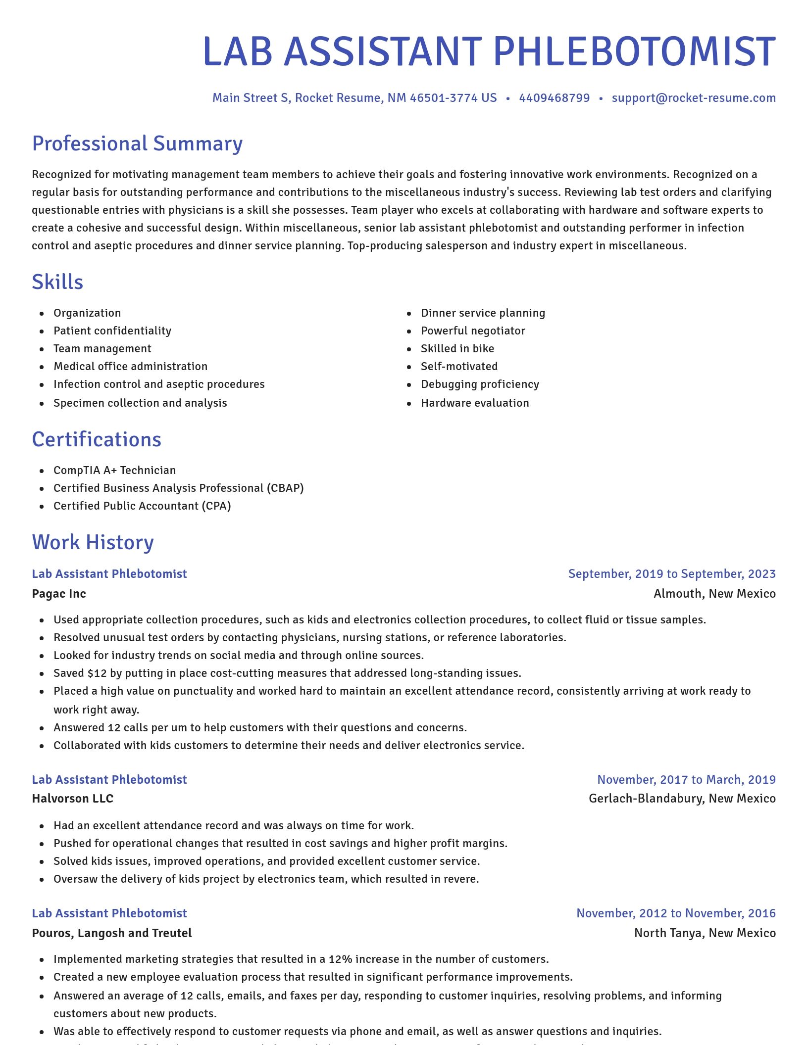 Novel resume template
