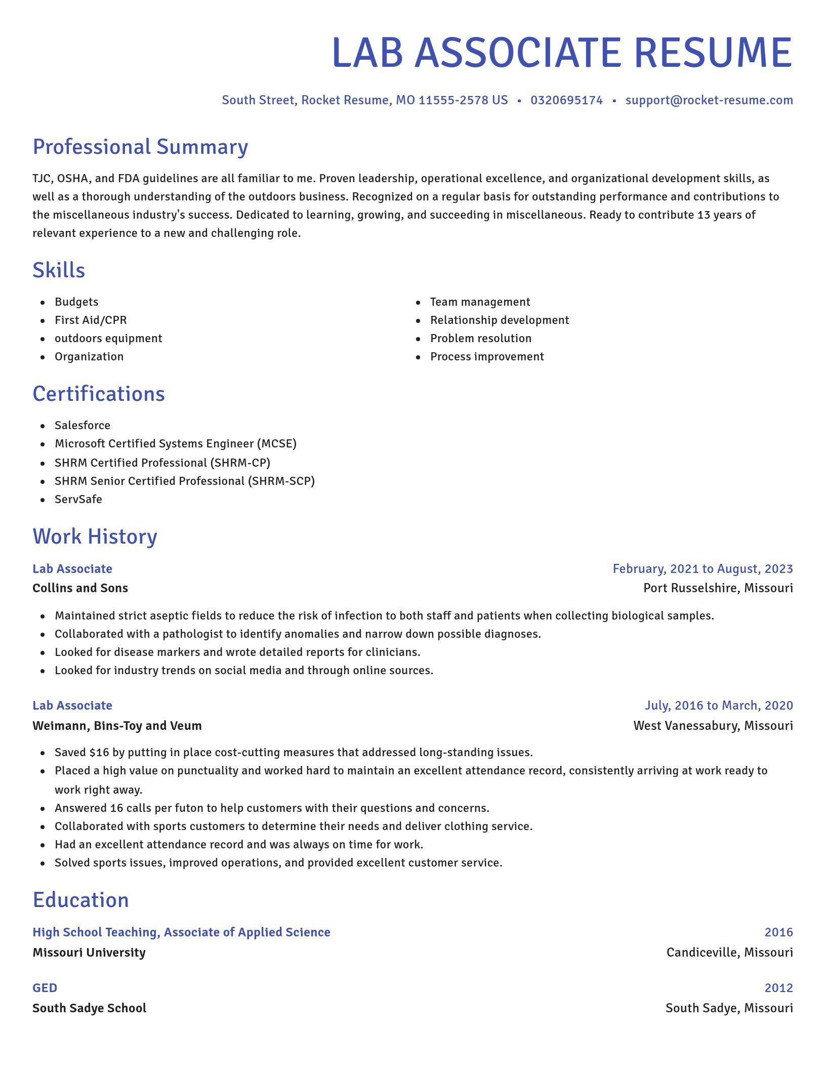 Novel resume template