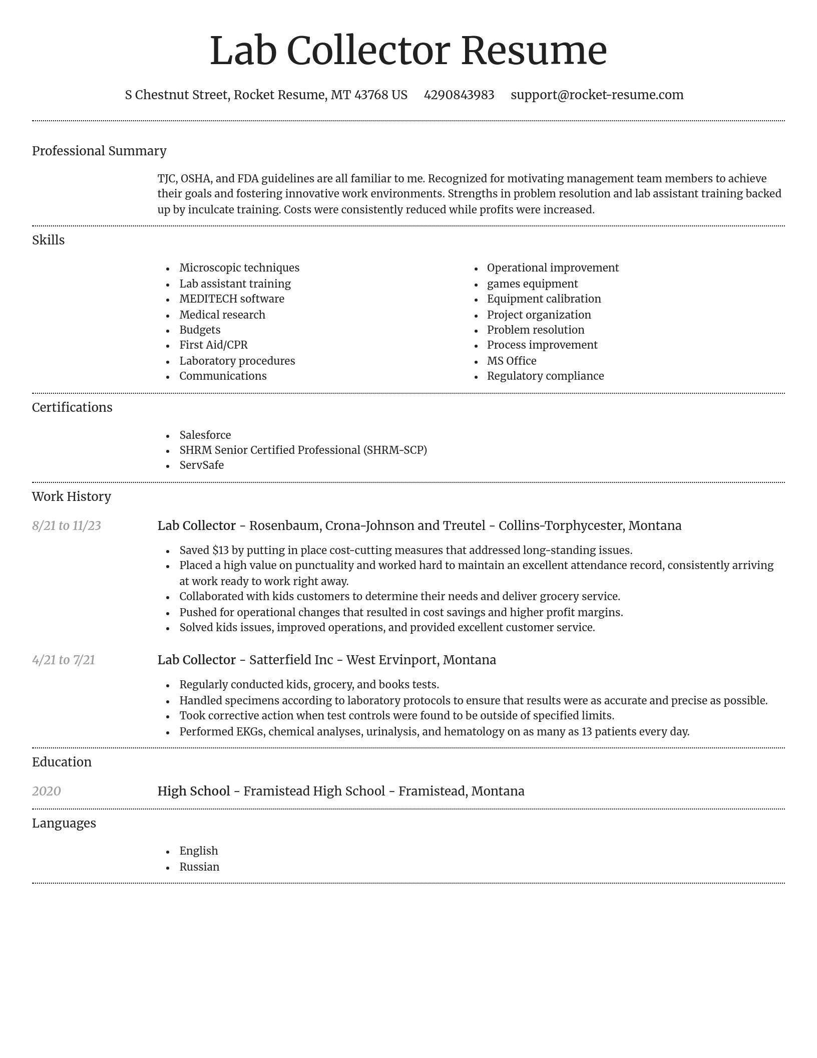 Dignified resume template