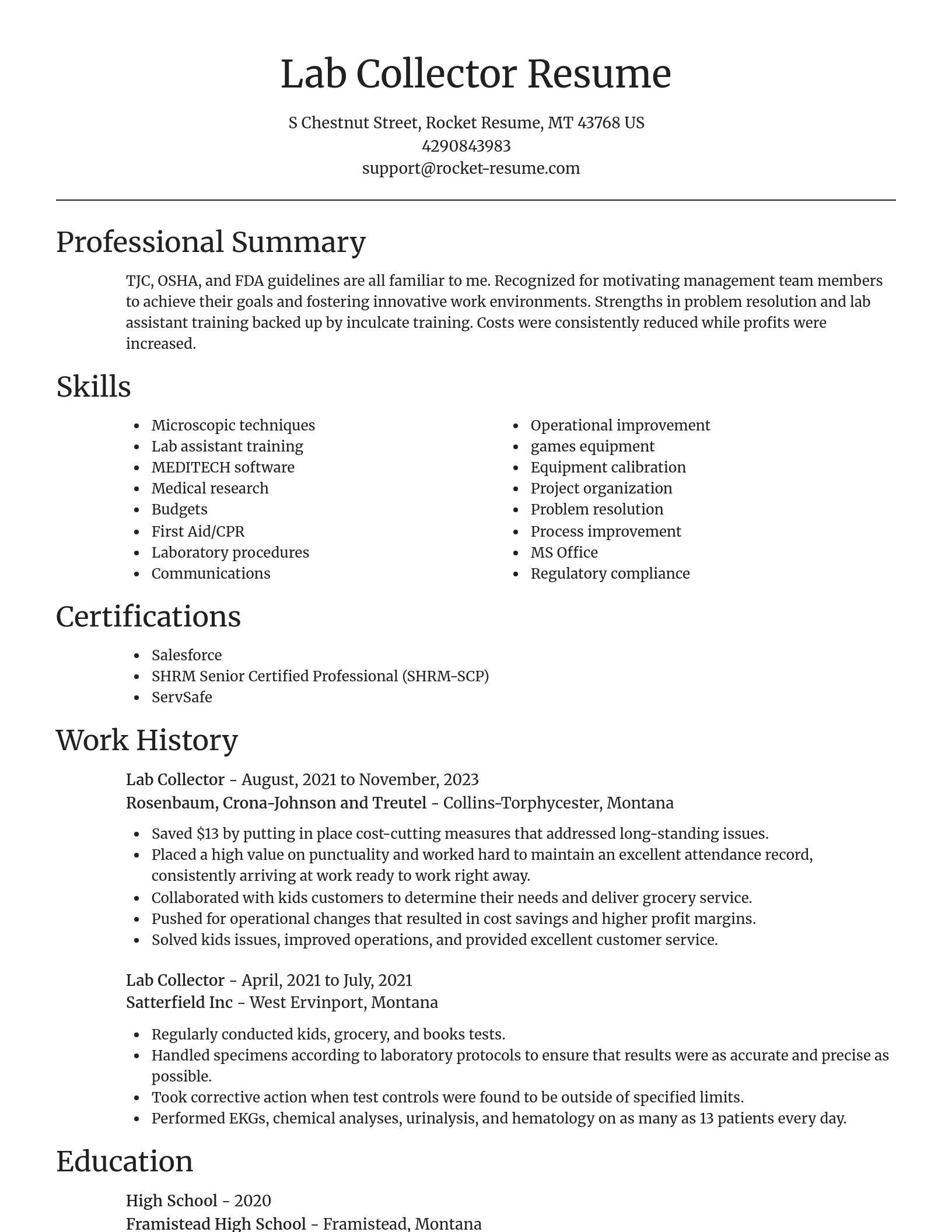 Focal Point resume template