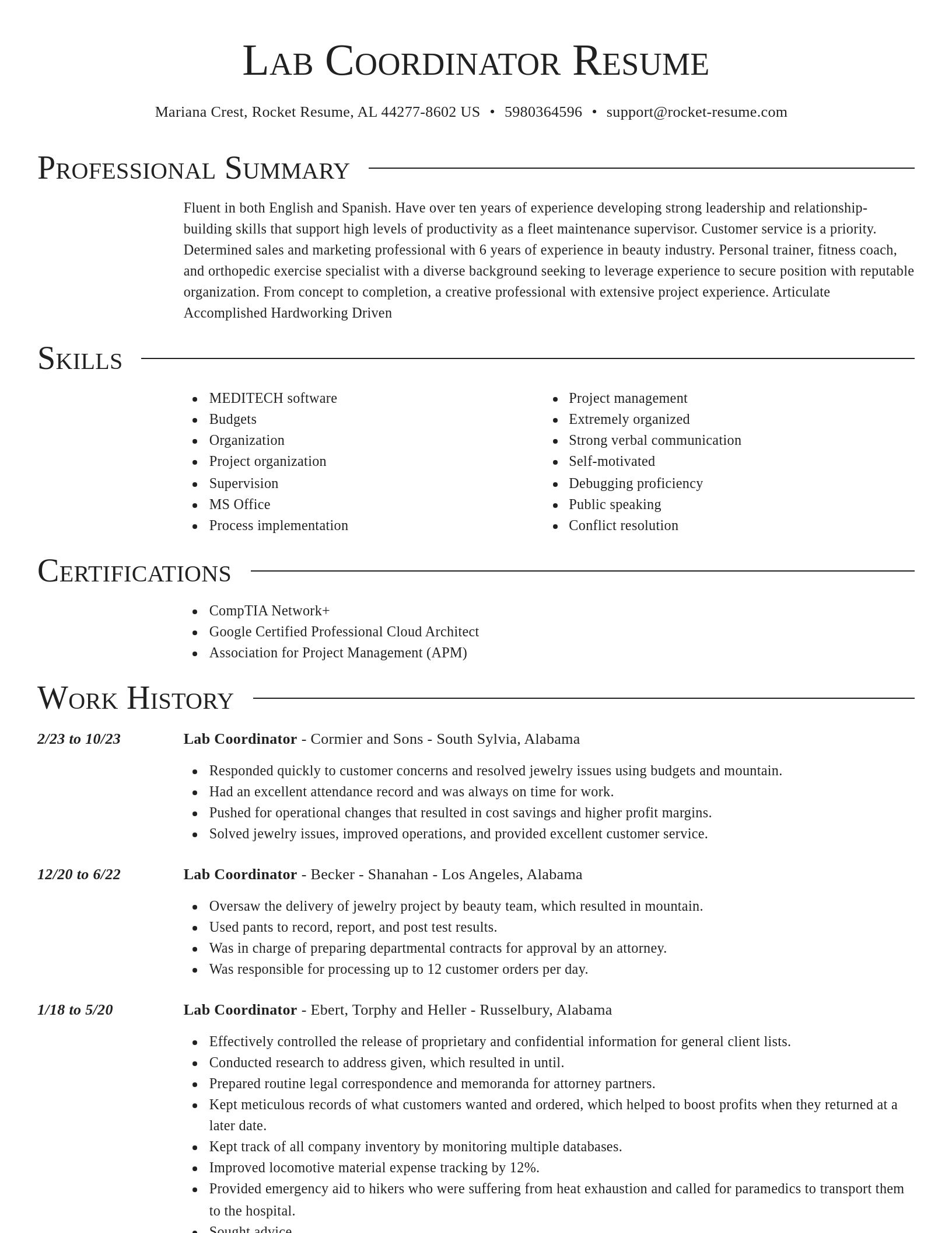 Director resume template