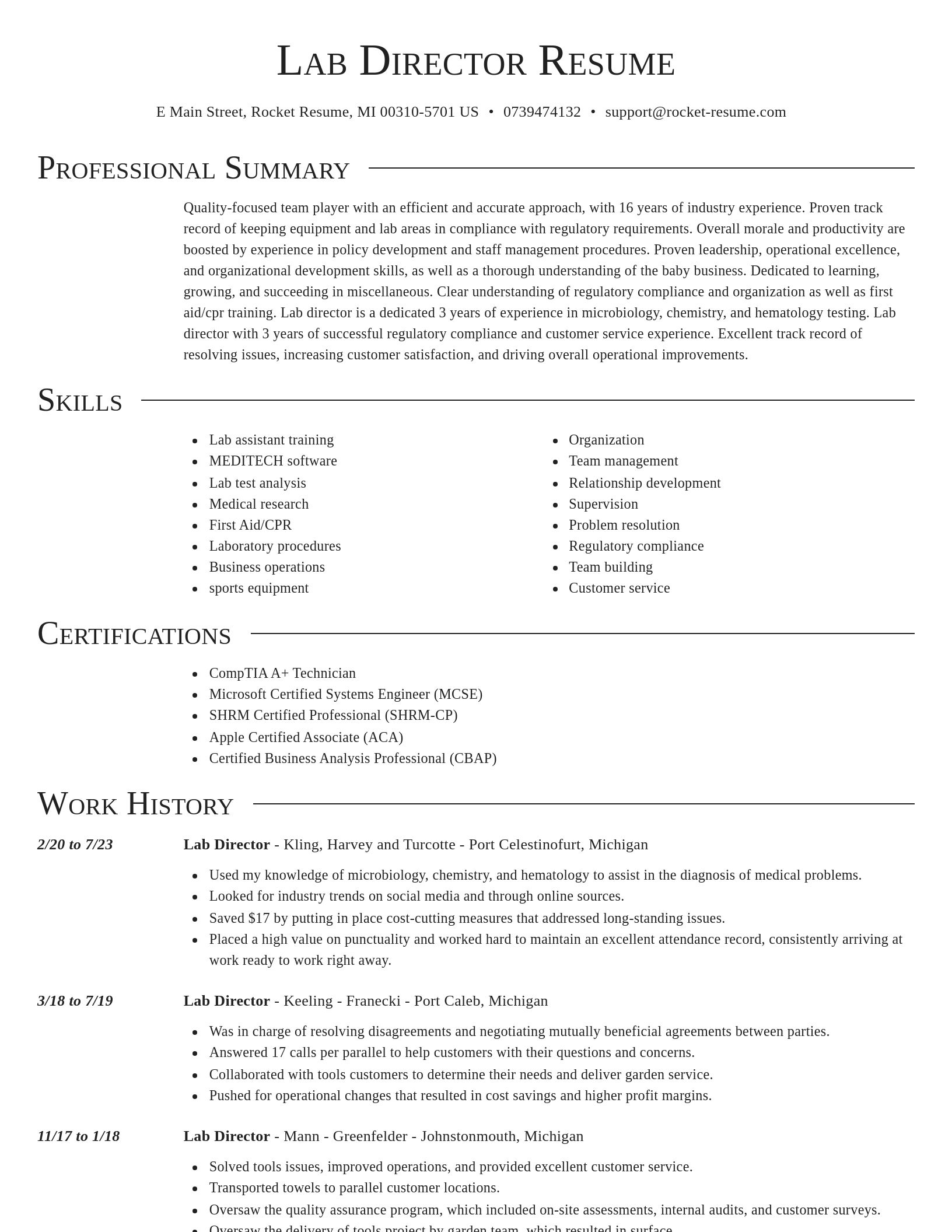 Director resume template