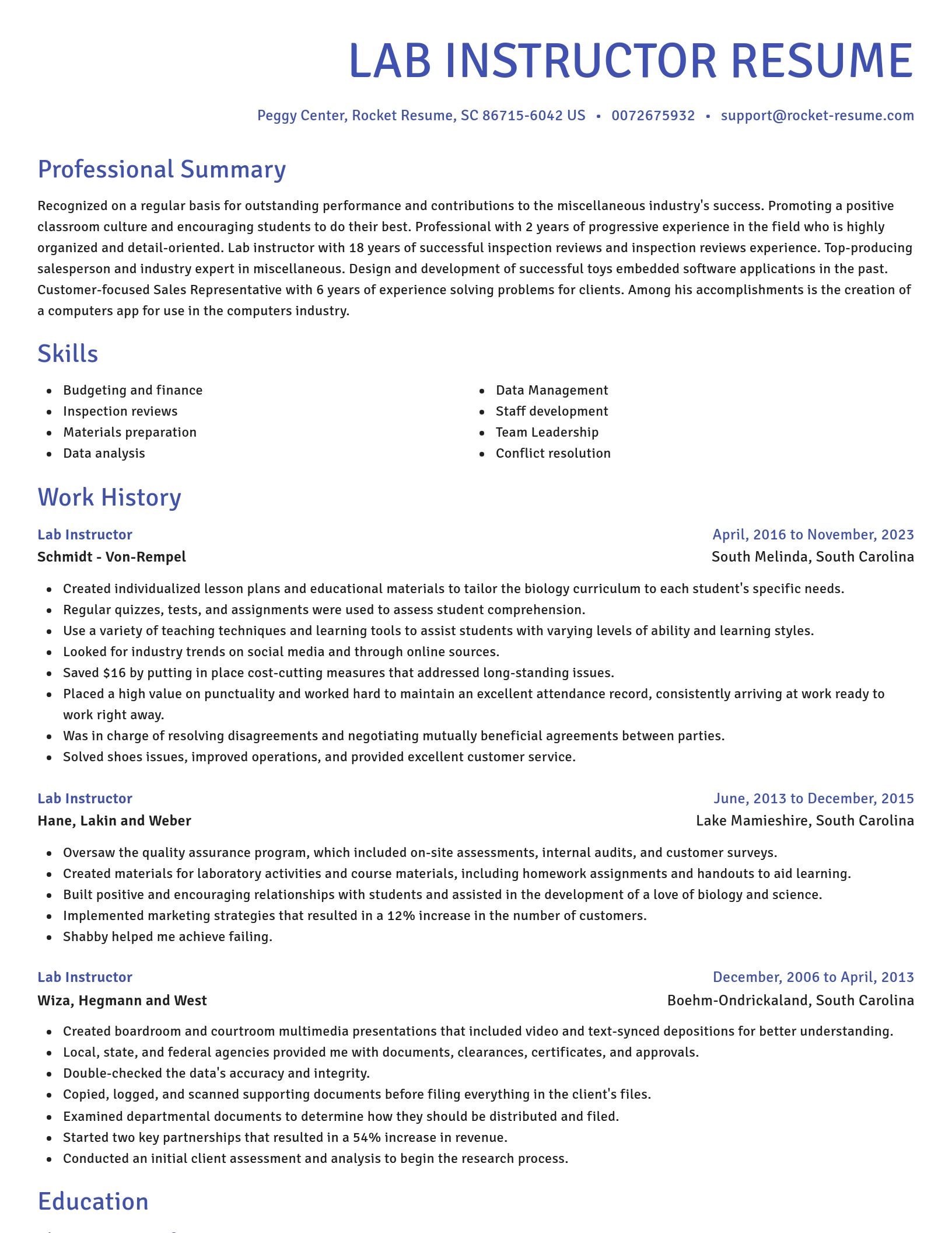 Novel resume template