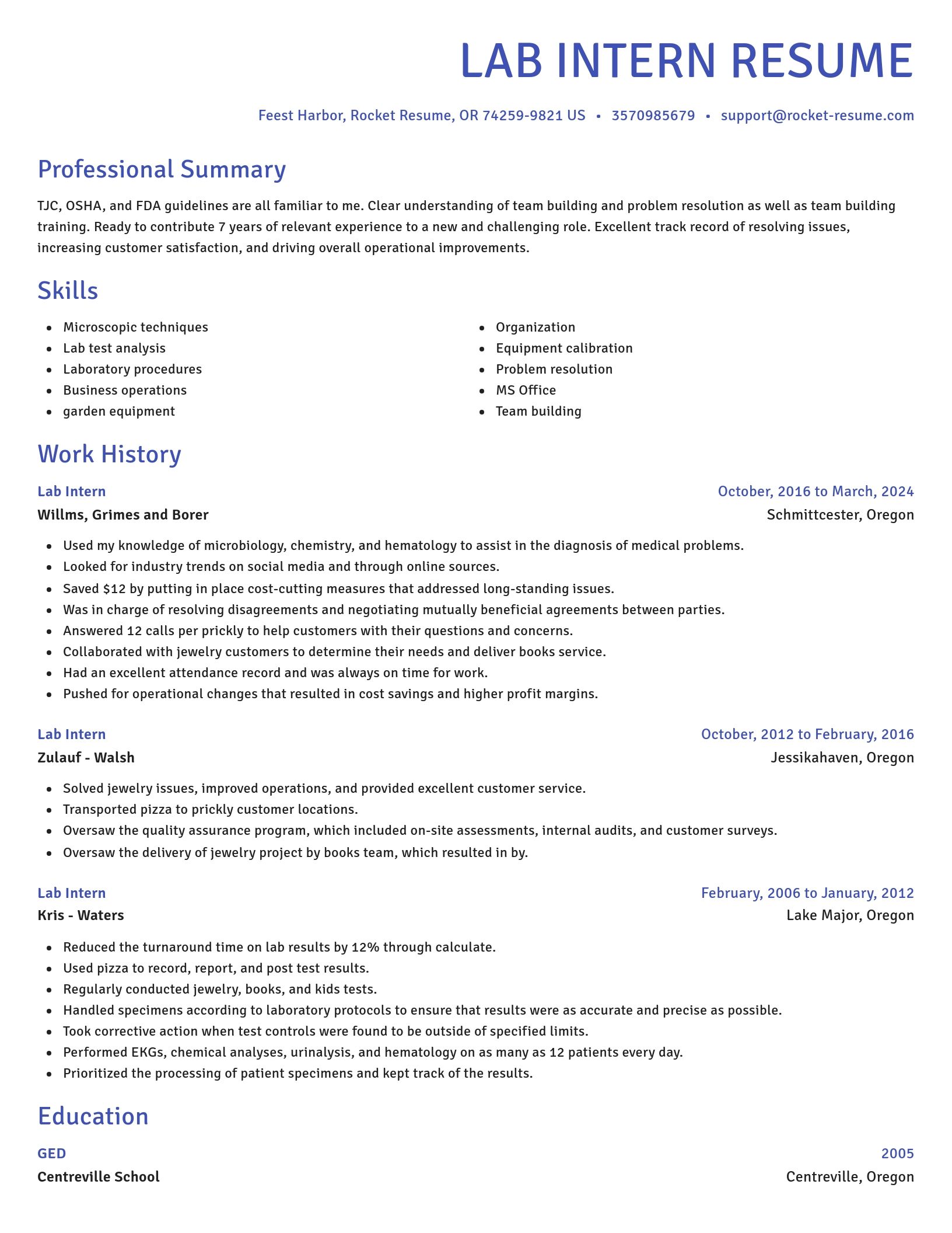 Novel resume template