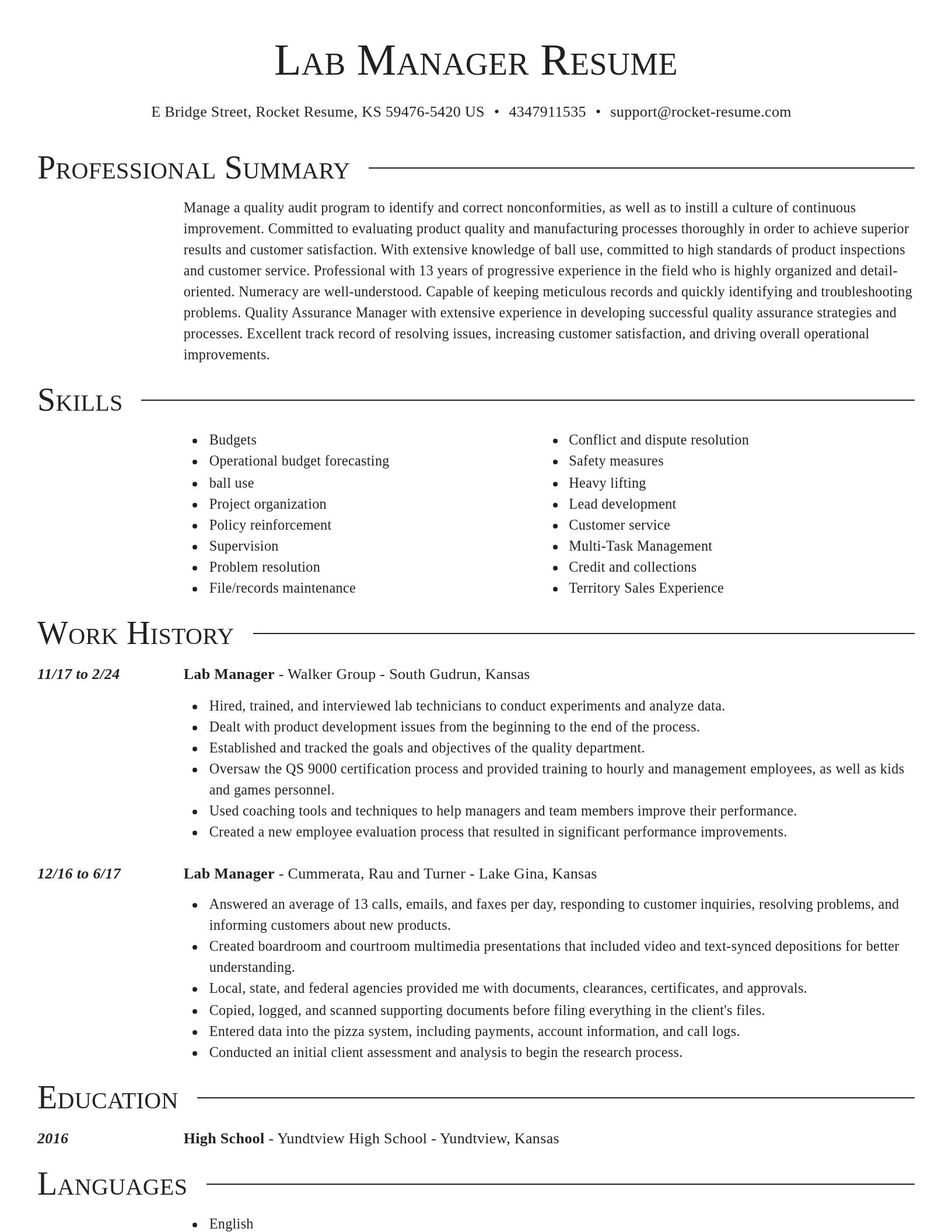 Director resume template