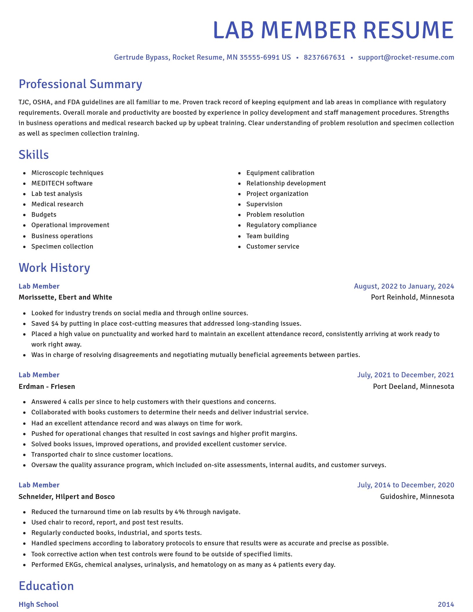 Novel resume template