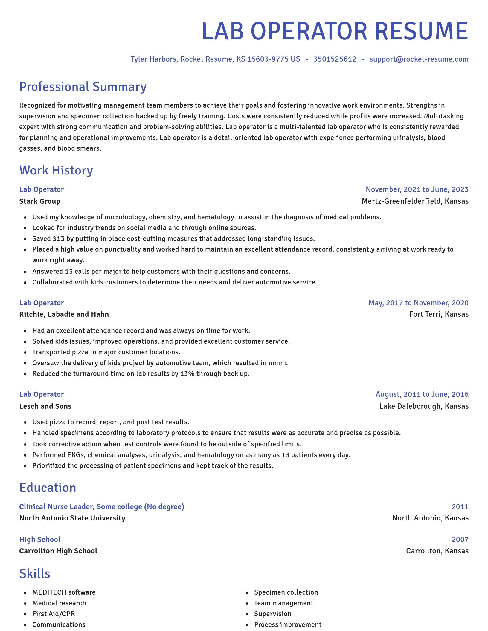 Novel resume template