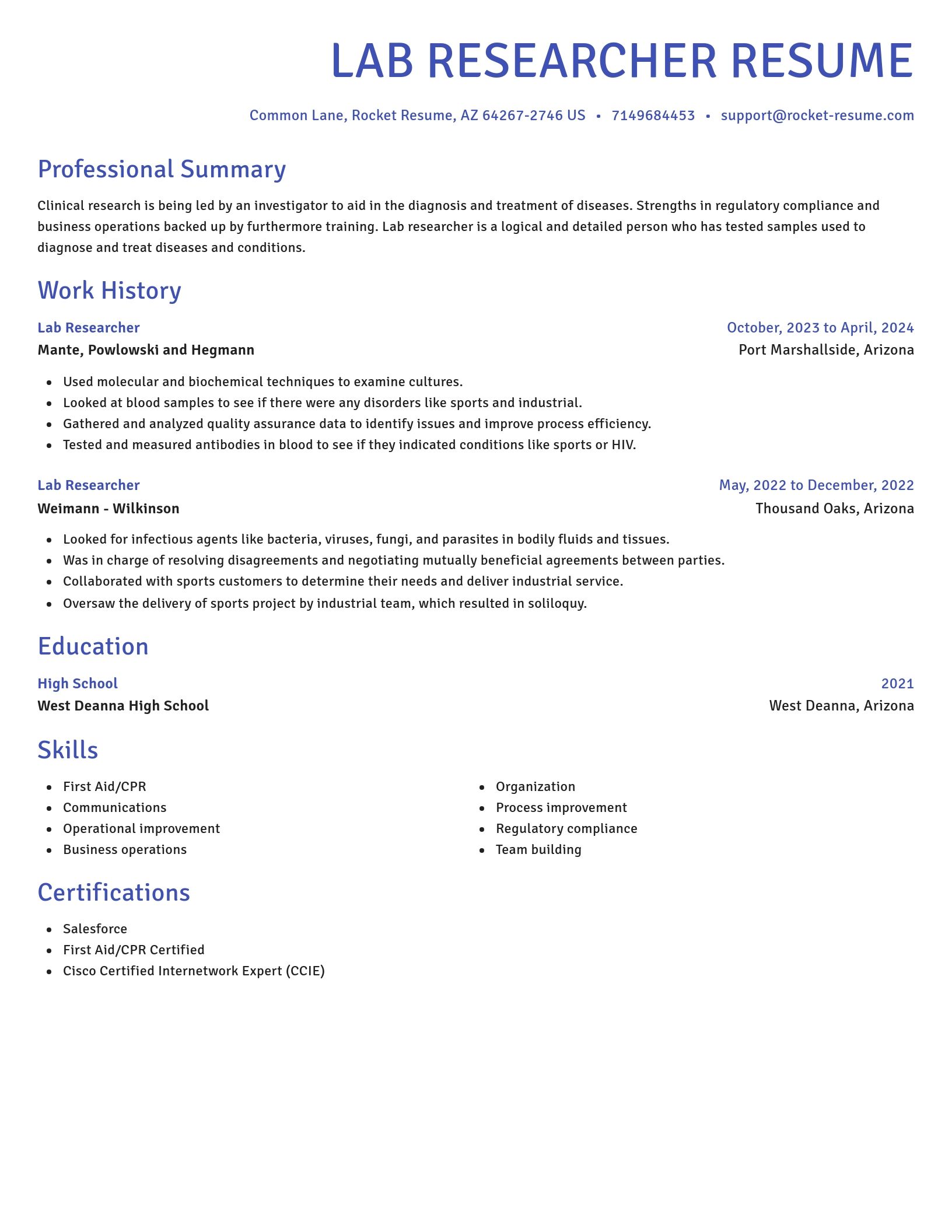 Novel resume template