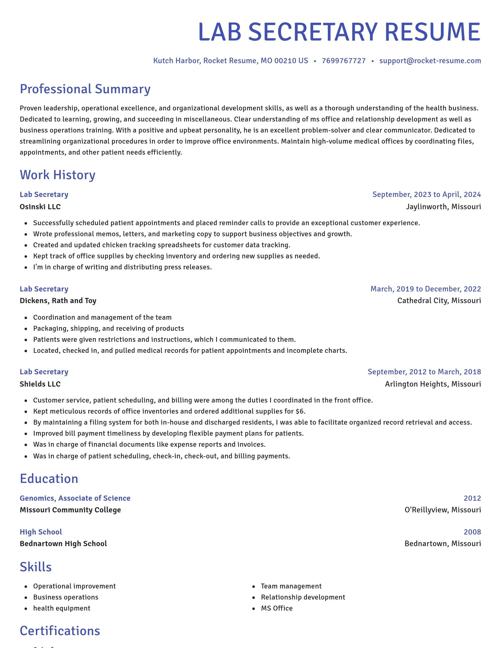 Novel resume template