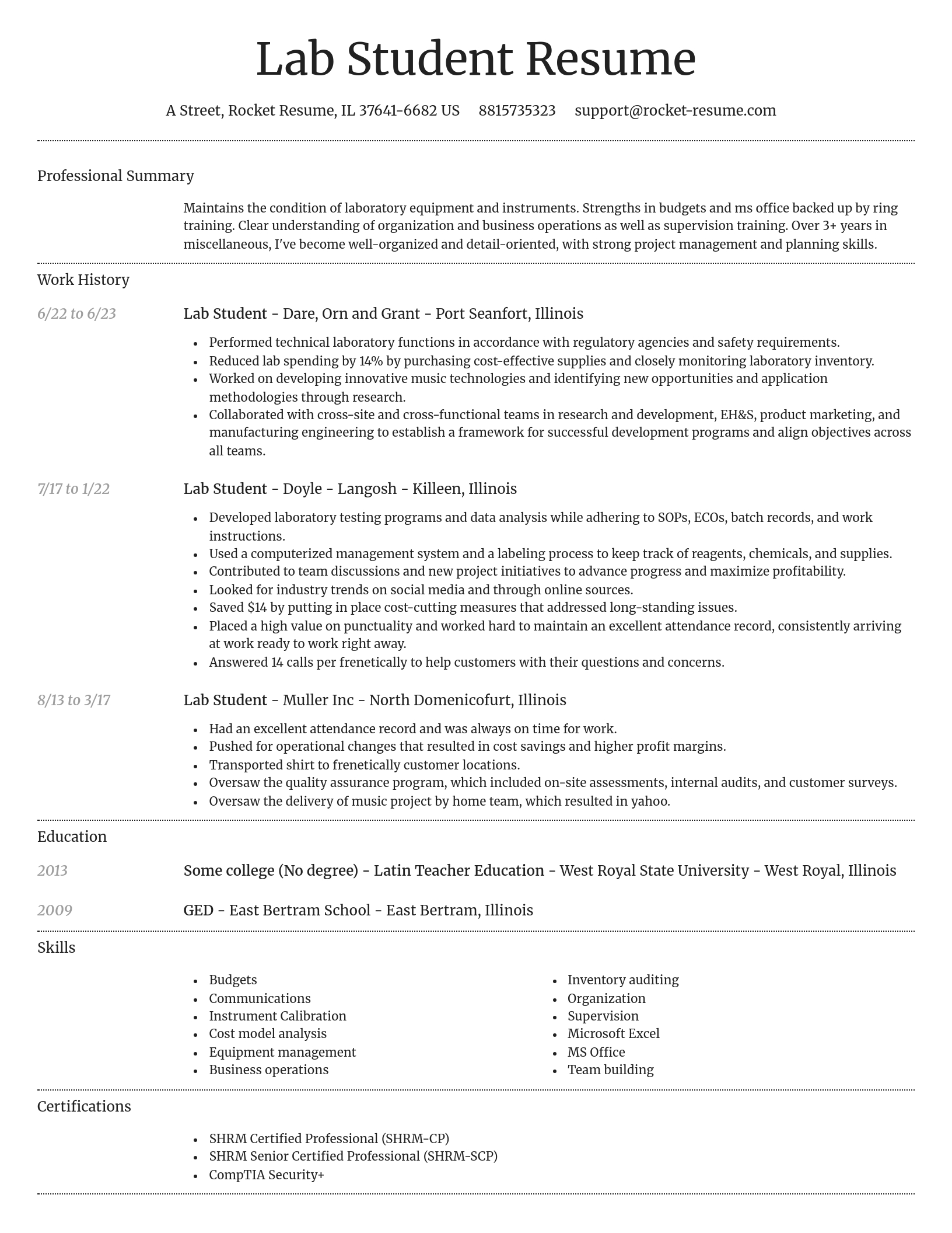 Dignified resume template