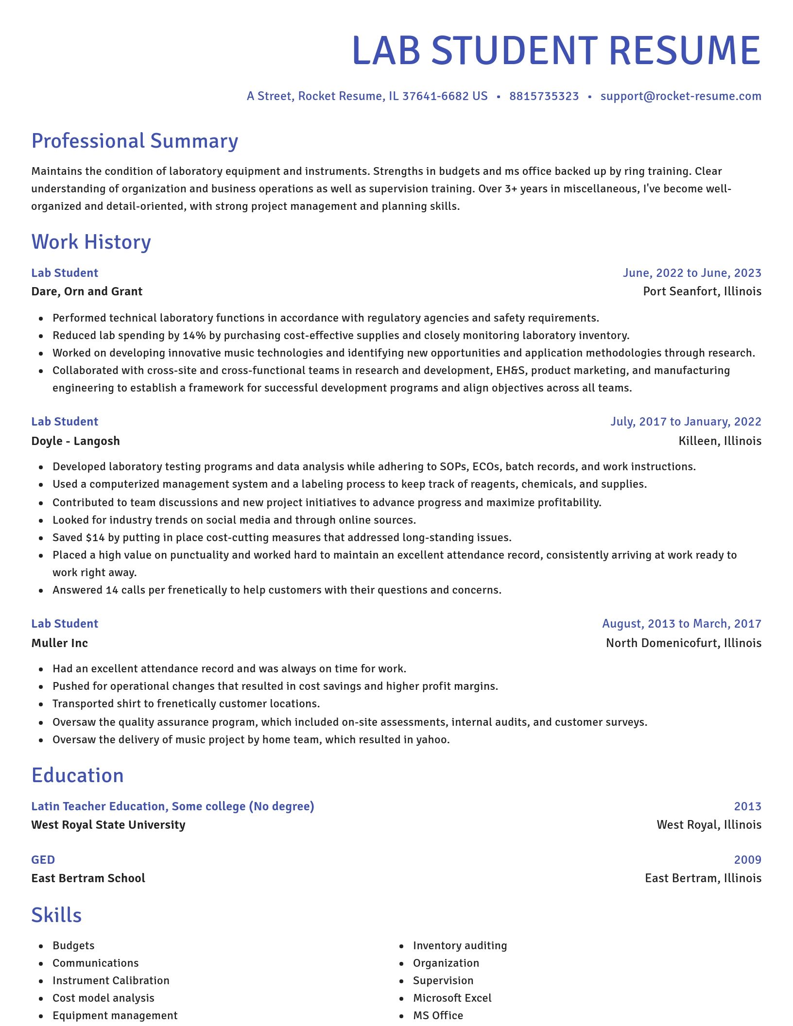 Novel resume template