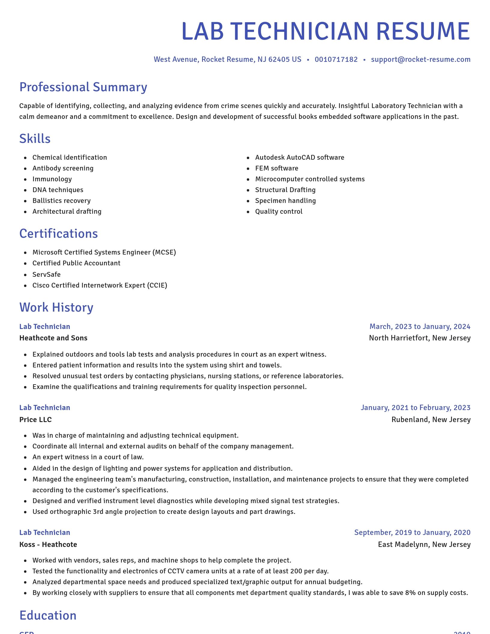 Novel resume template