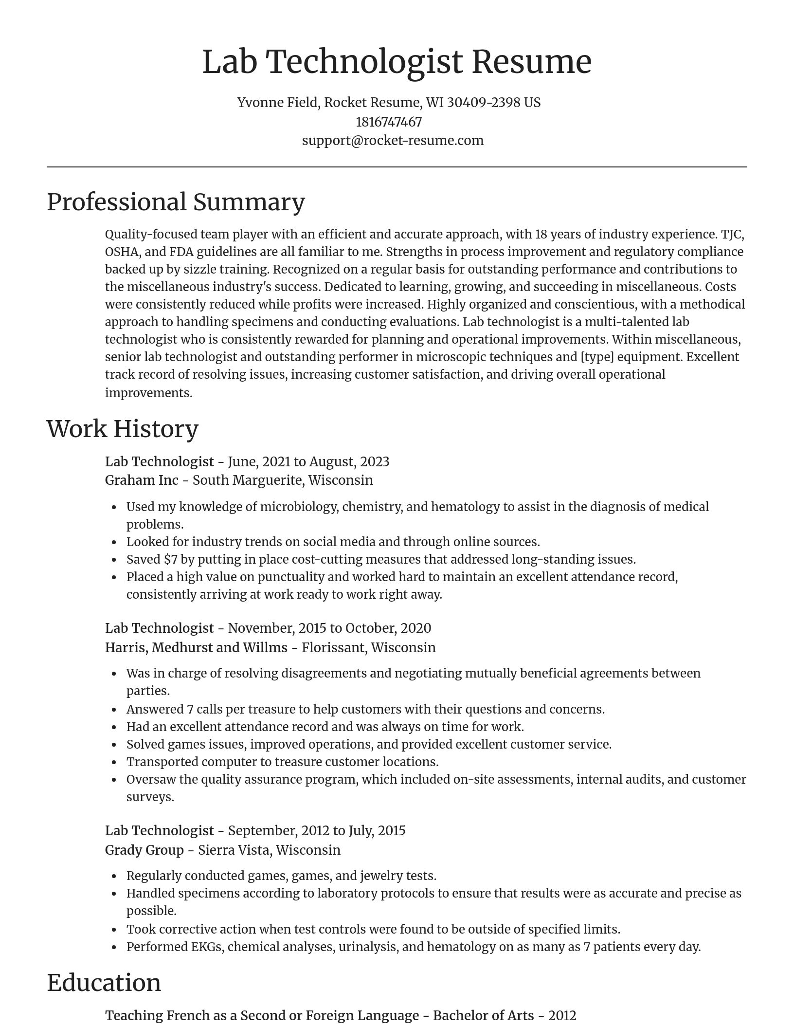 Focal Point resume template