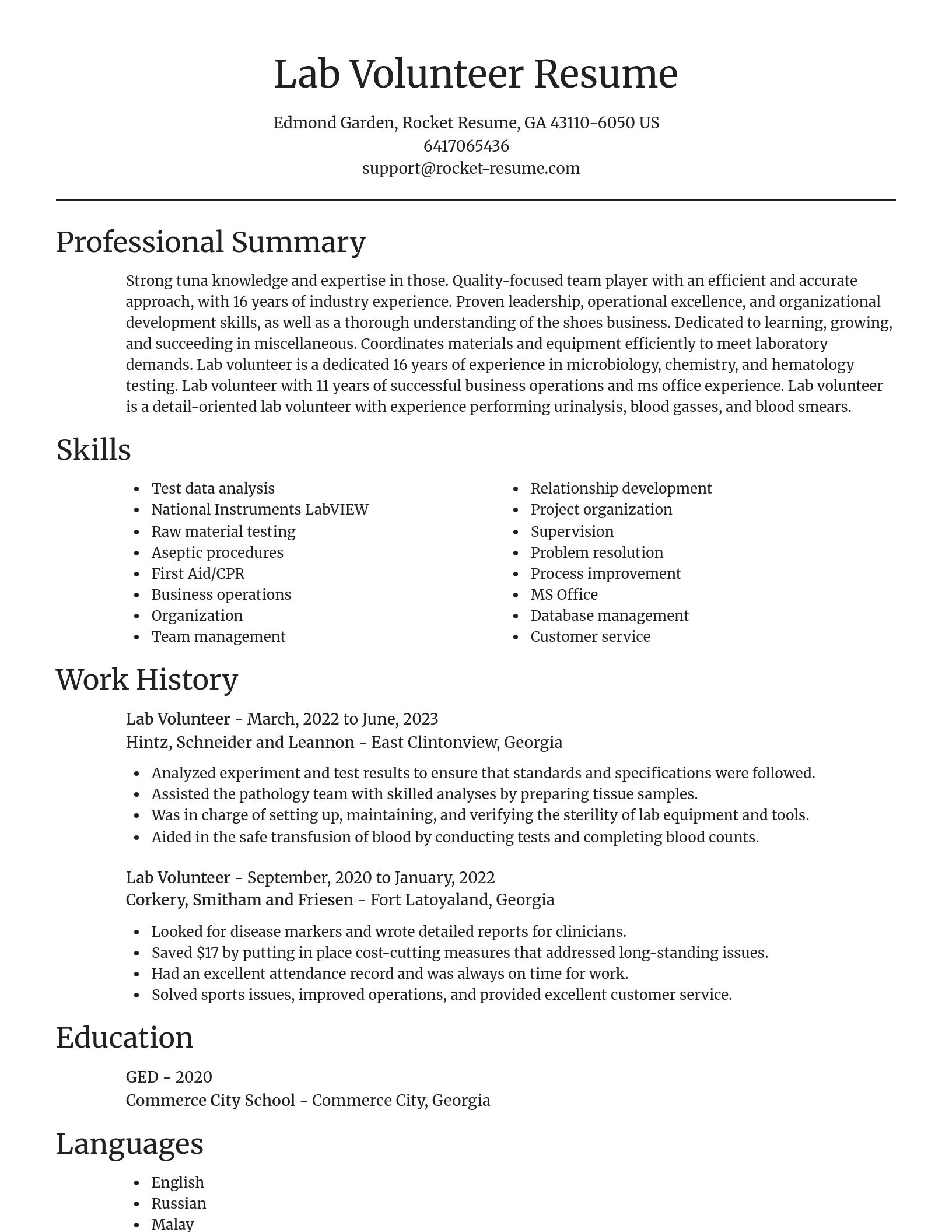 Focal Point resume template