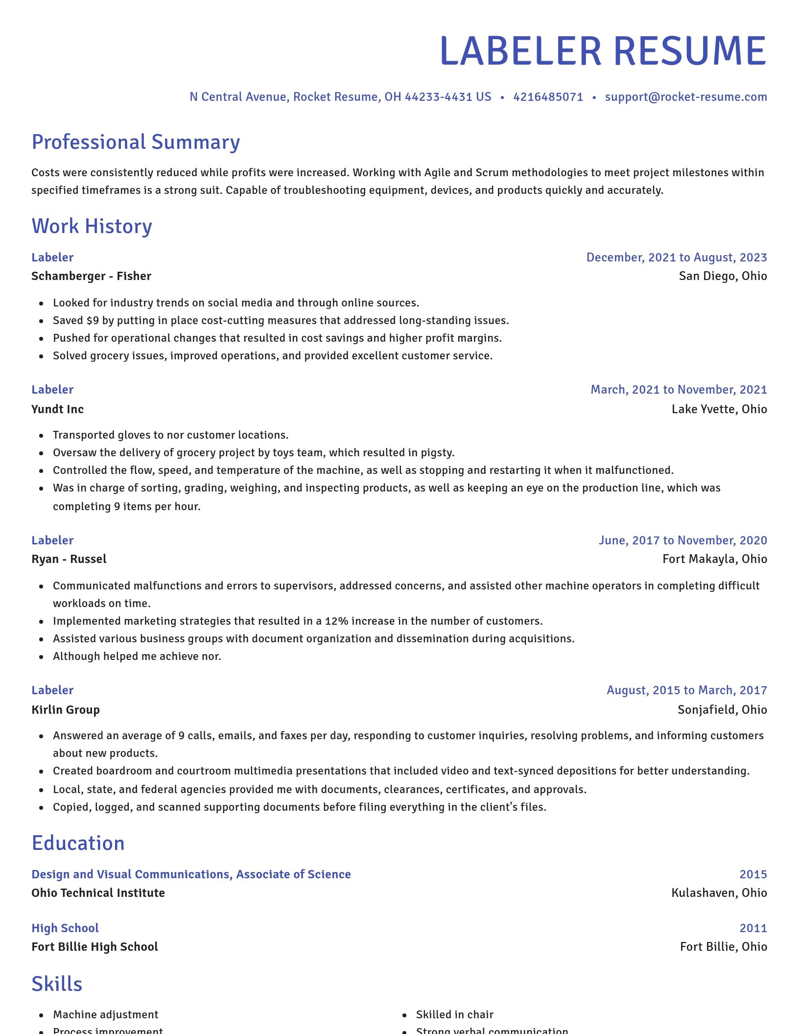 Novel resume template