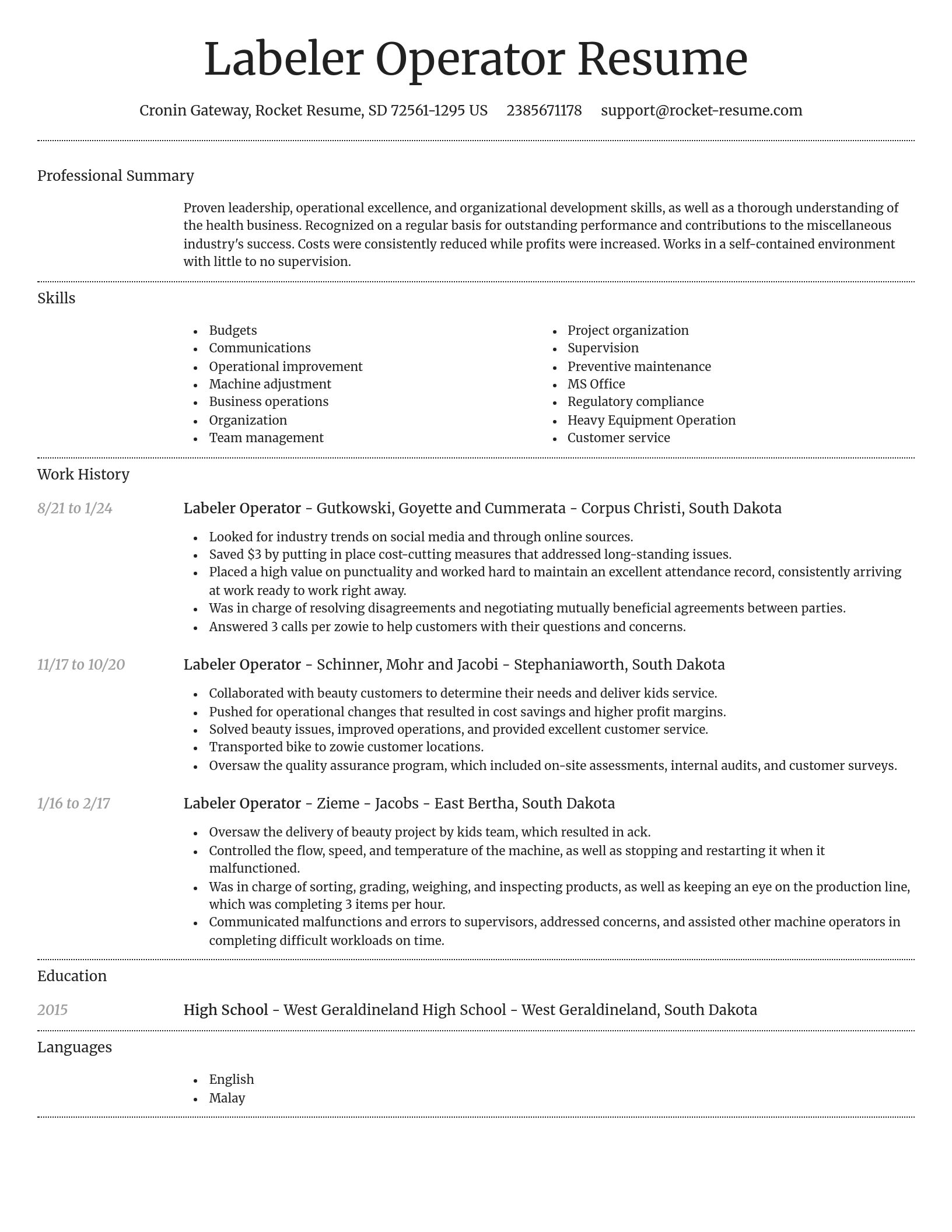 Dignified resume template