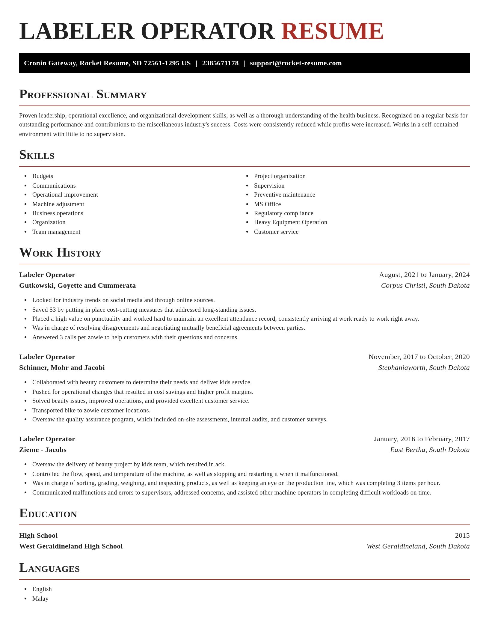 Exquisite resume template