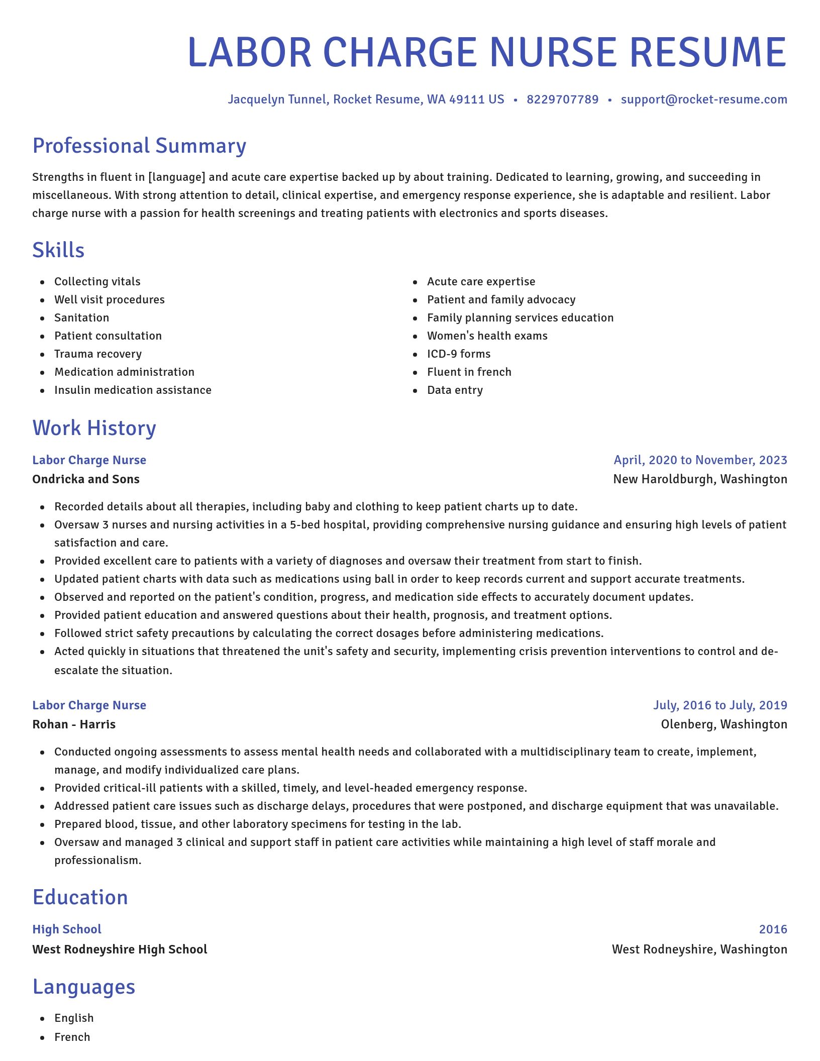 Novel resume template