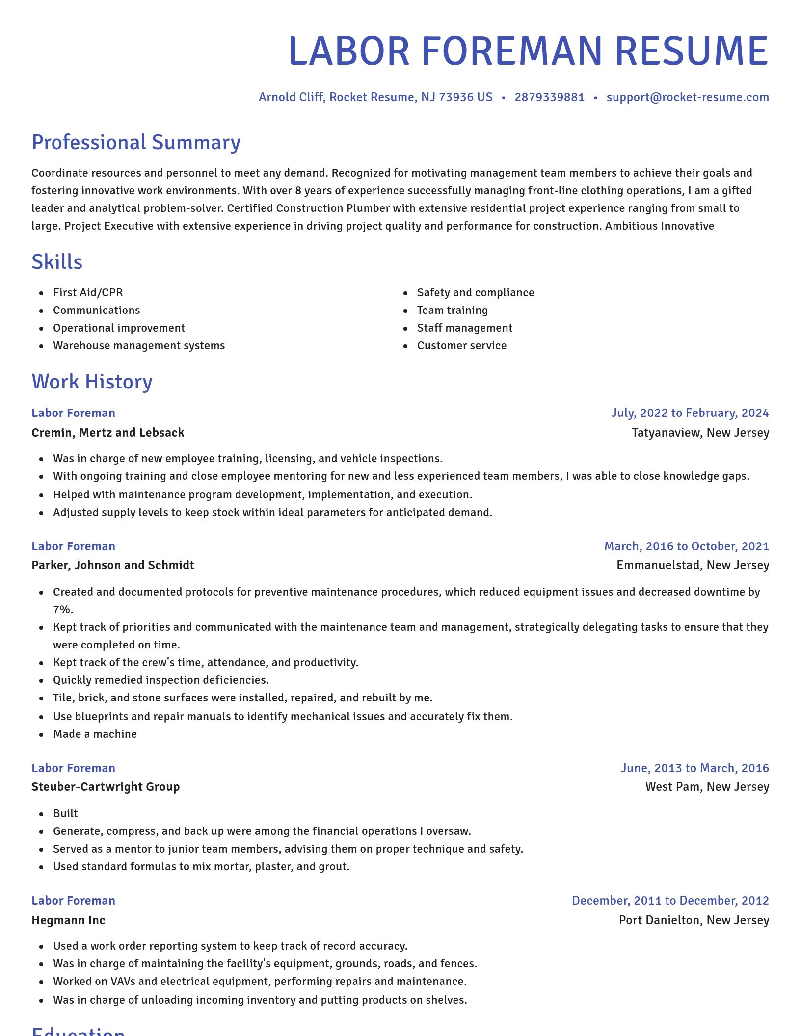 Novel resume template