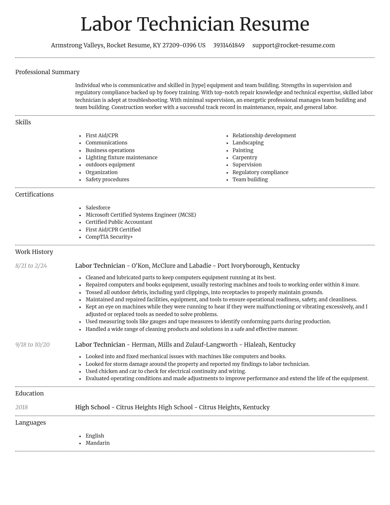 Dignified resume template