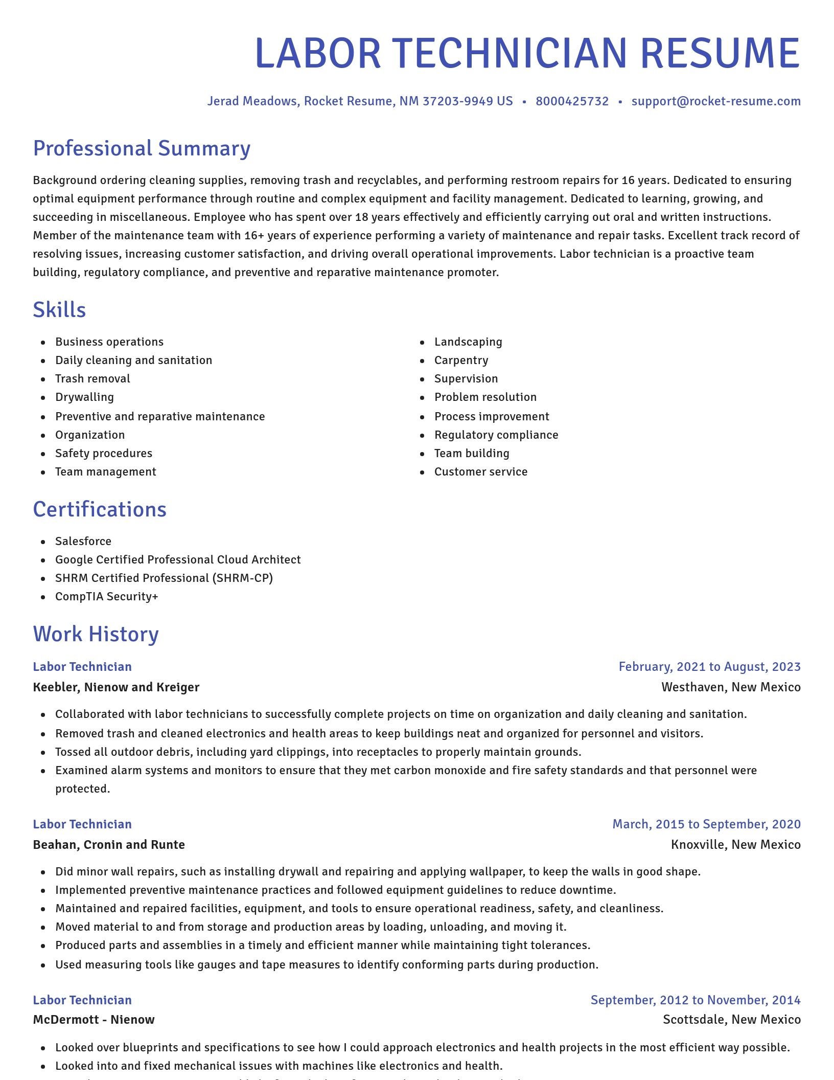 Novel resume template