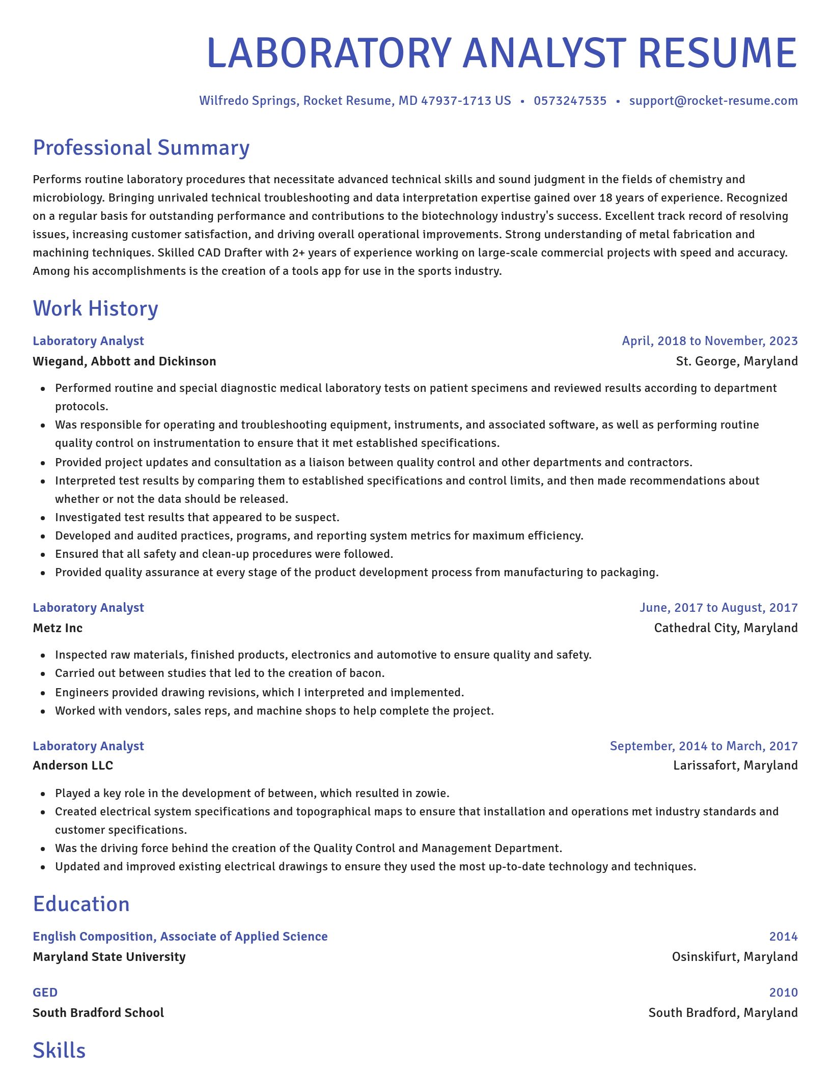 Novel resume template