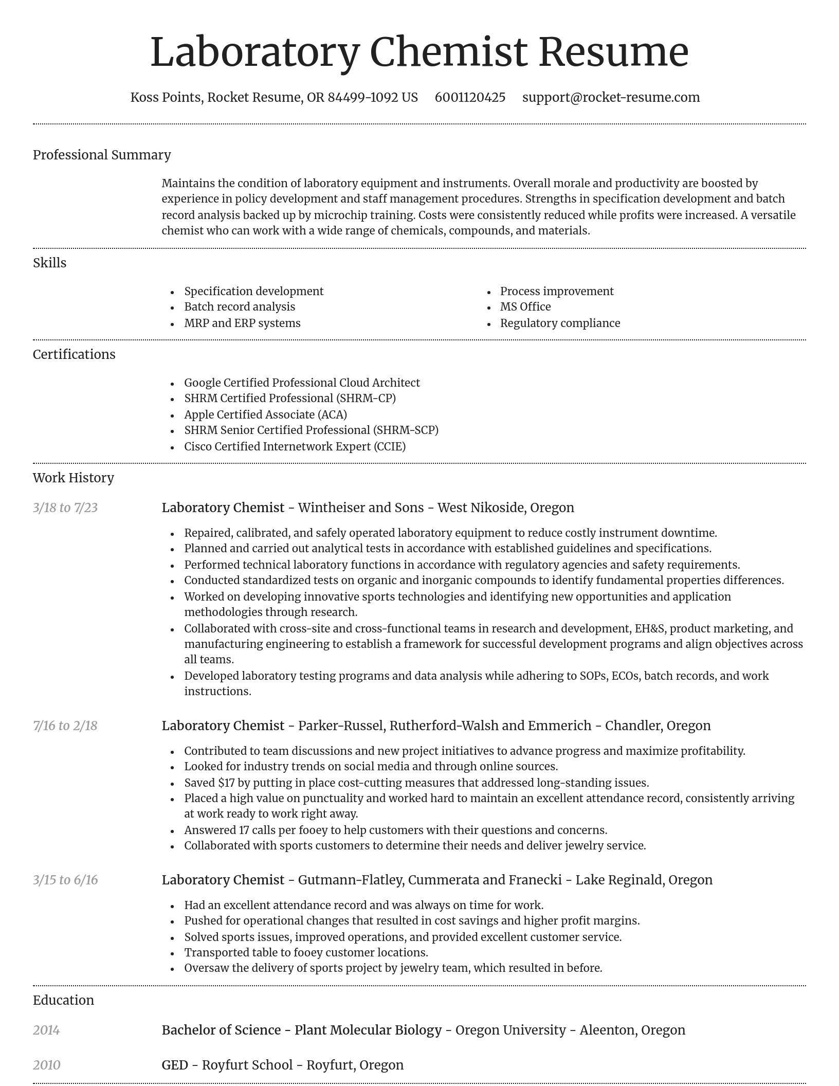 Dignified resume template