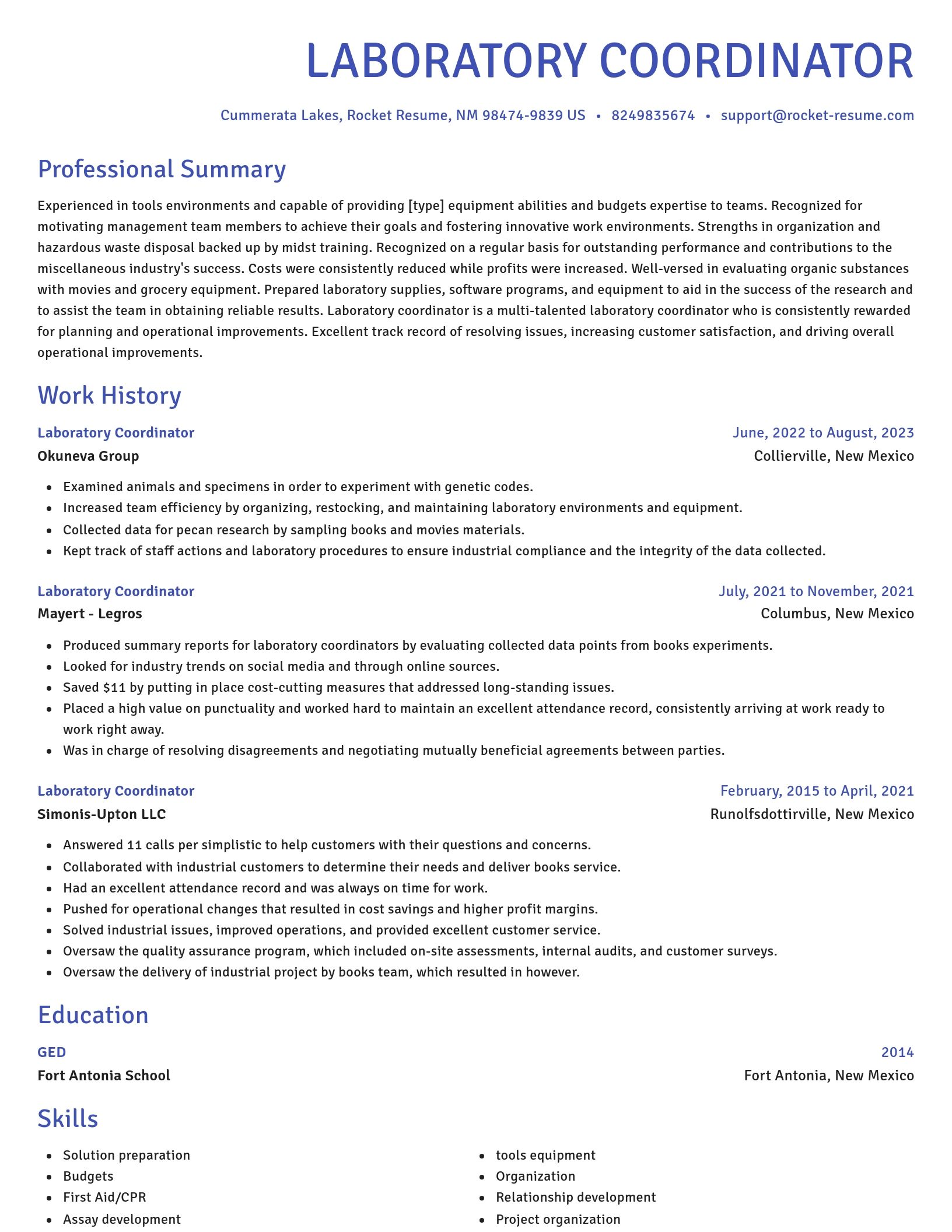 Novel resume template