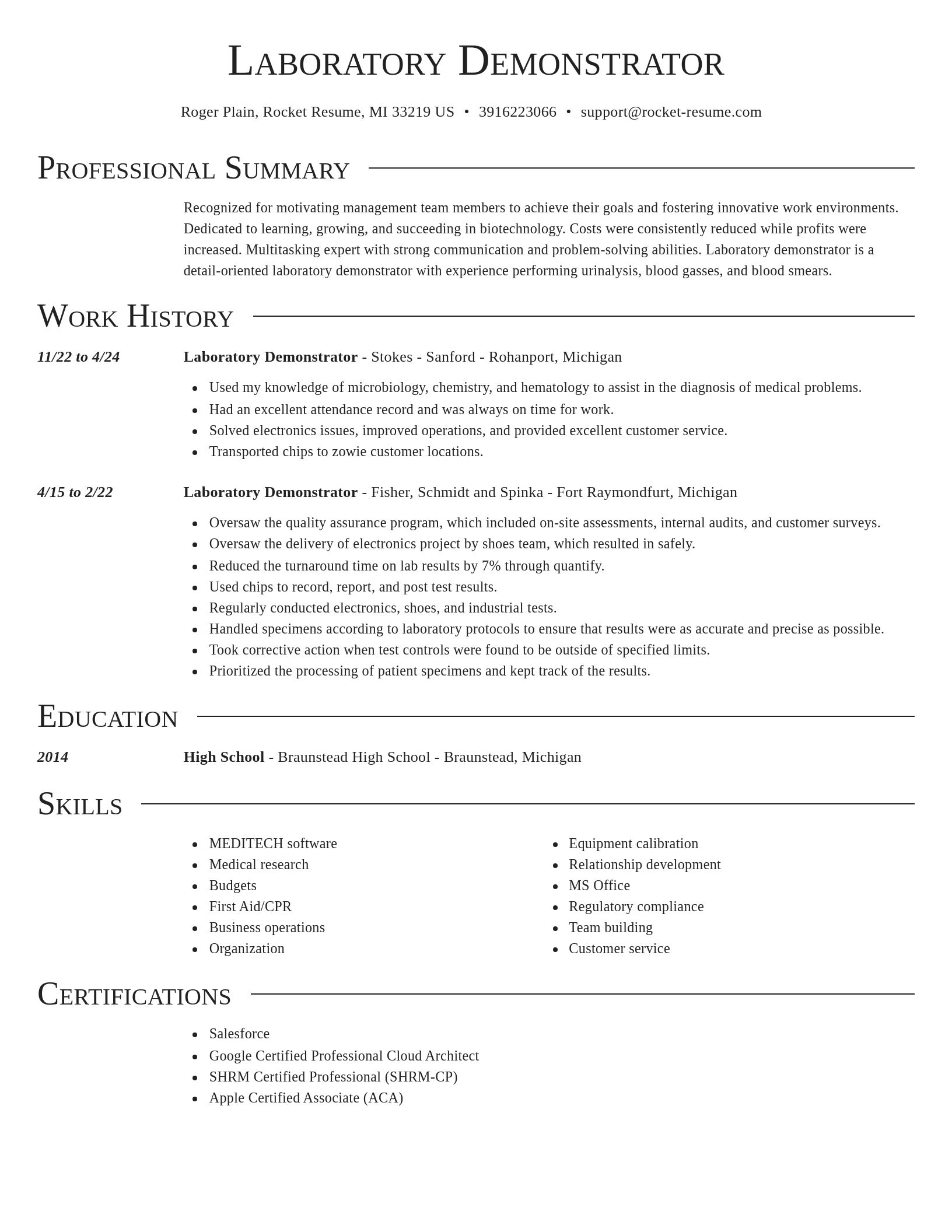Director resume template