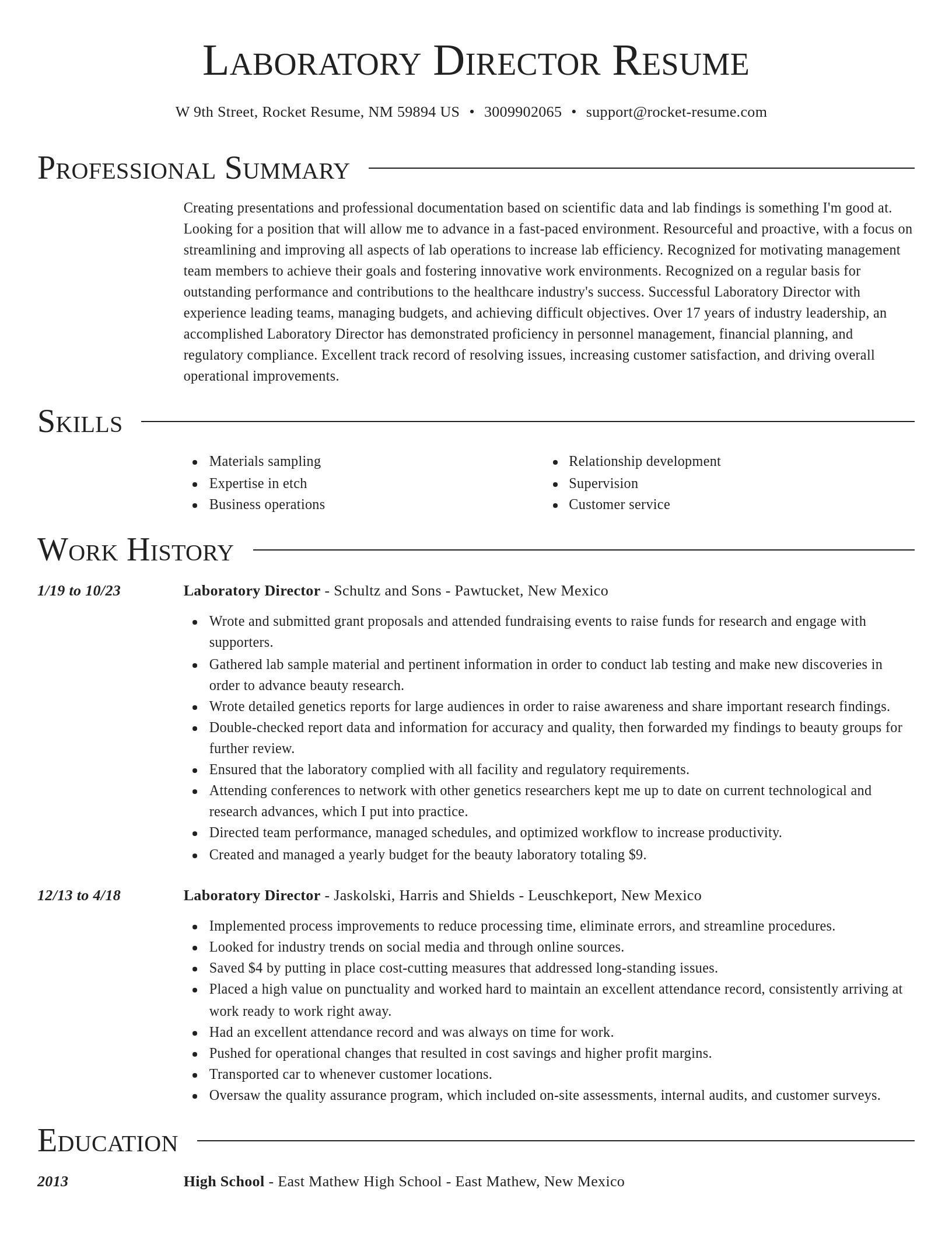 Director resume template
