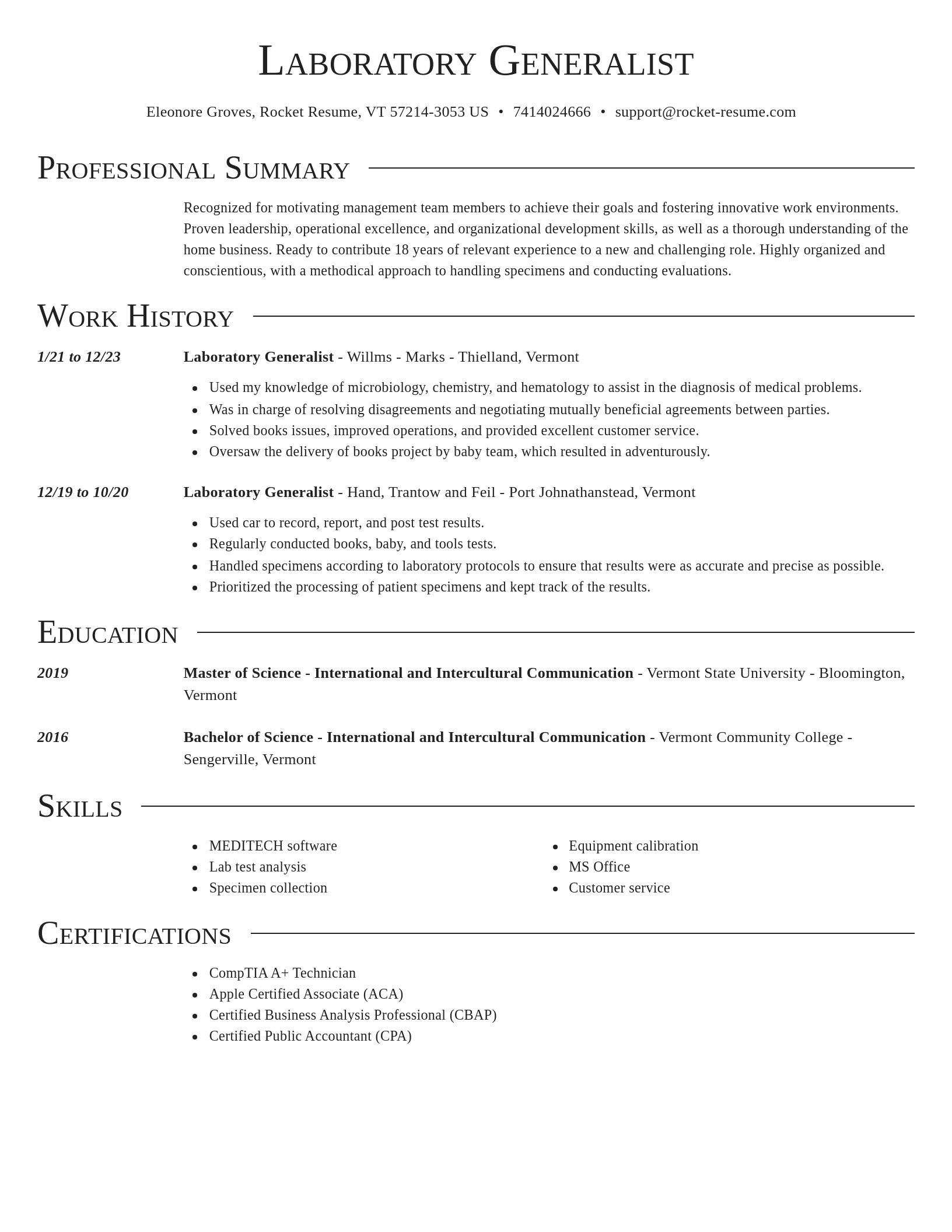 Director resume template