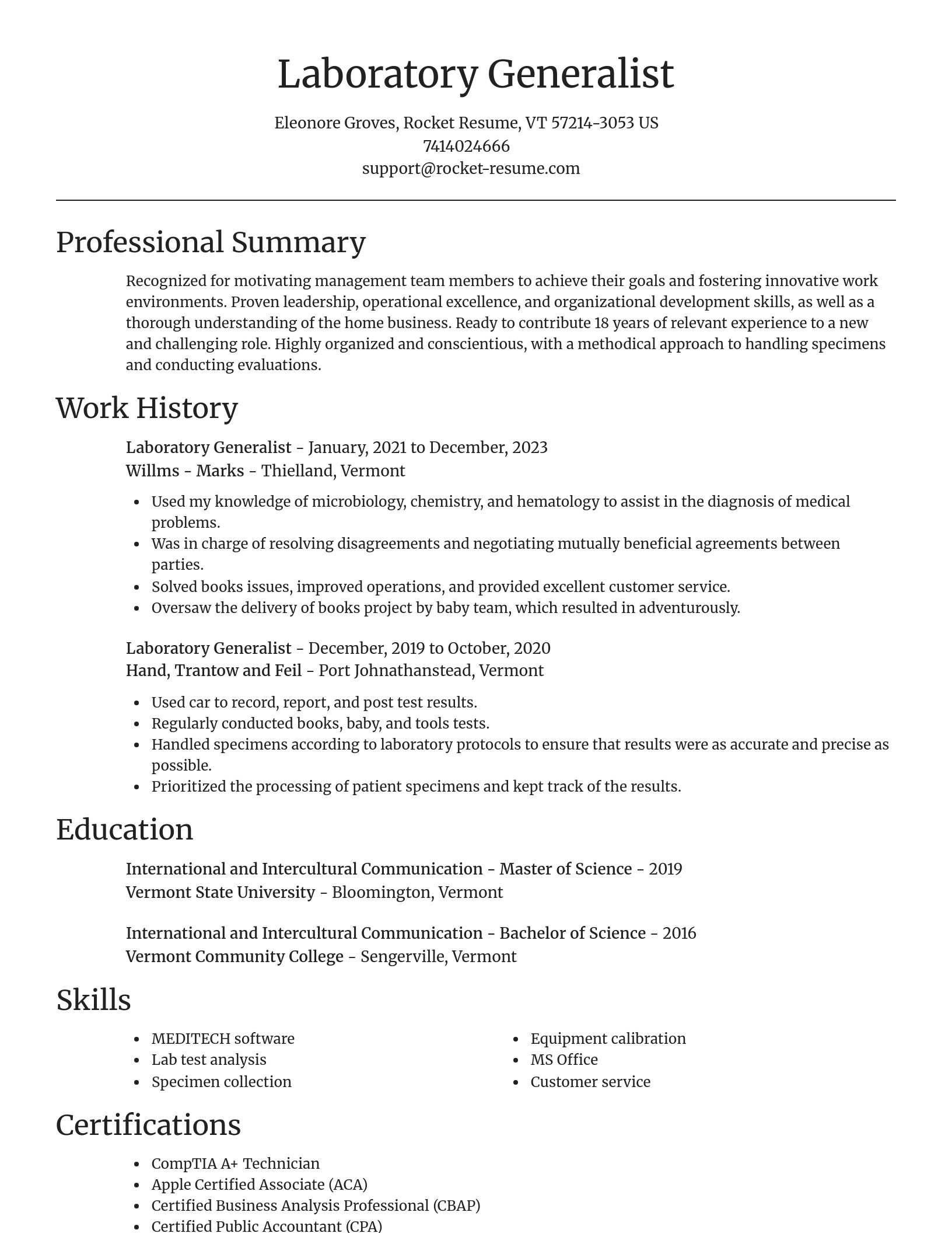 Focal Point resume template