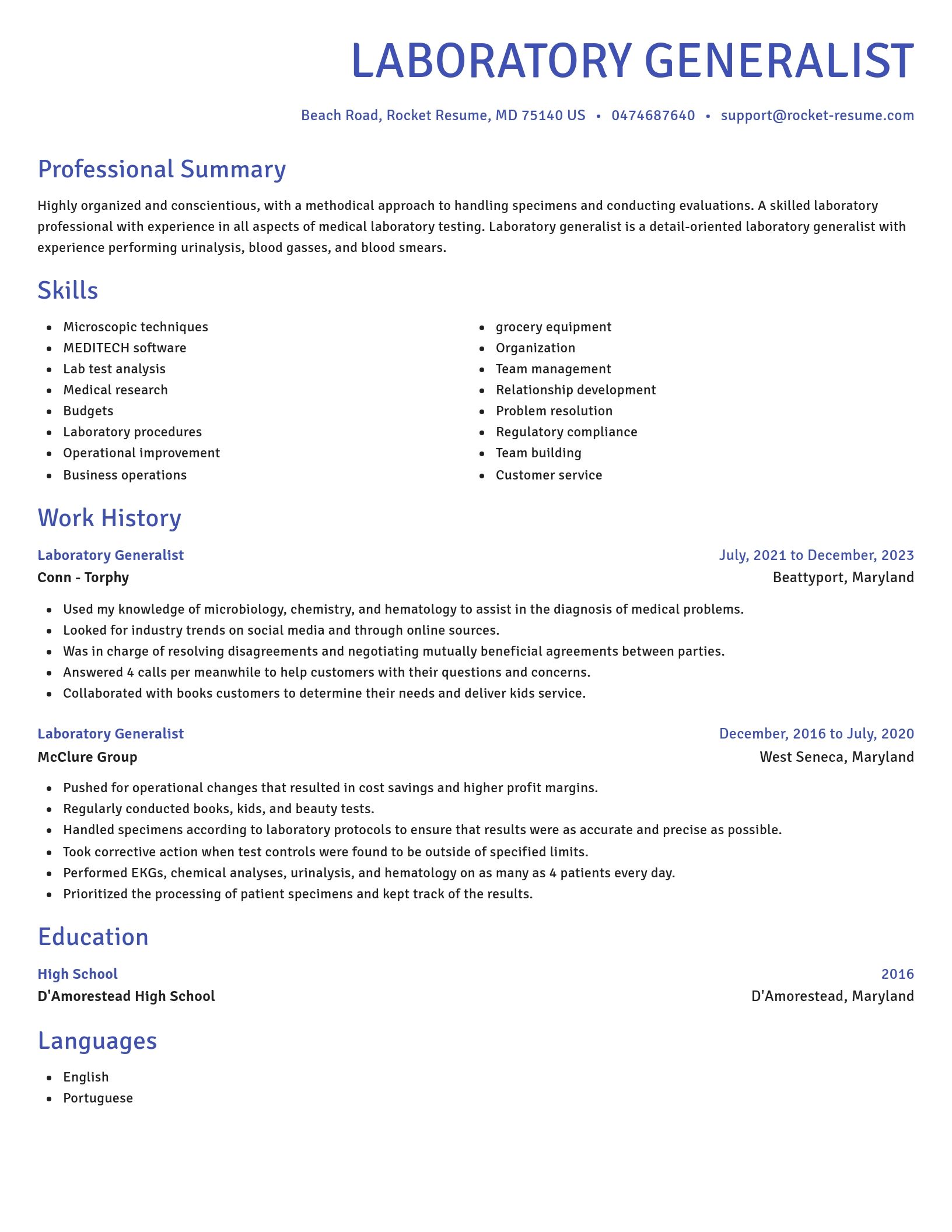 Novel resume template