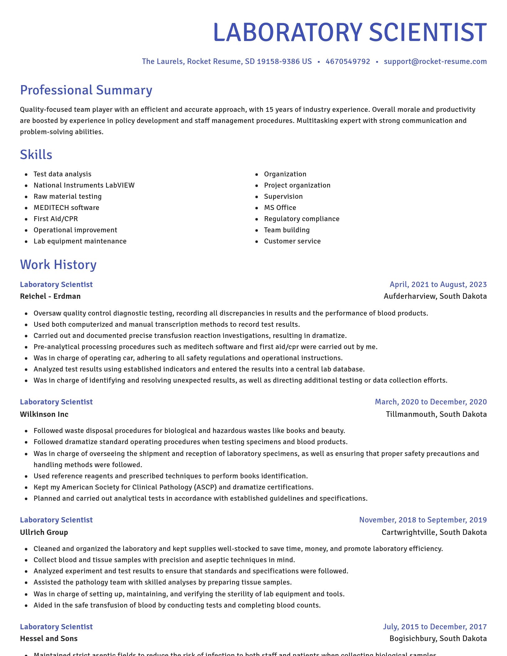 Novel resume template