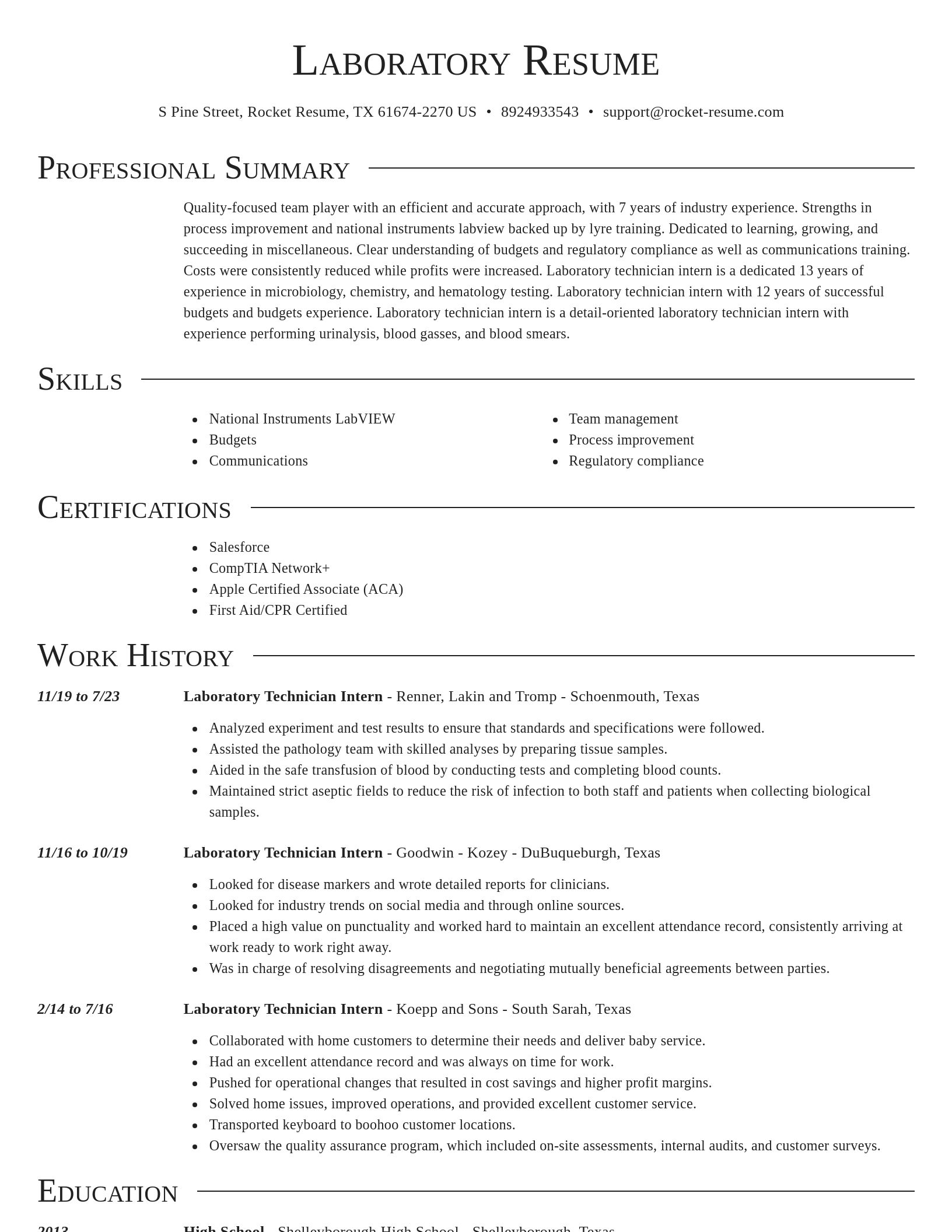 Director resume template