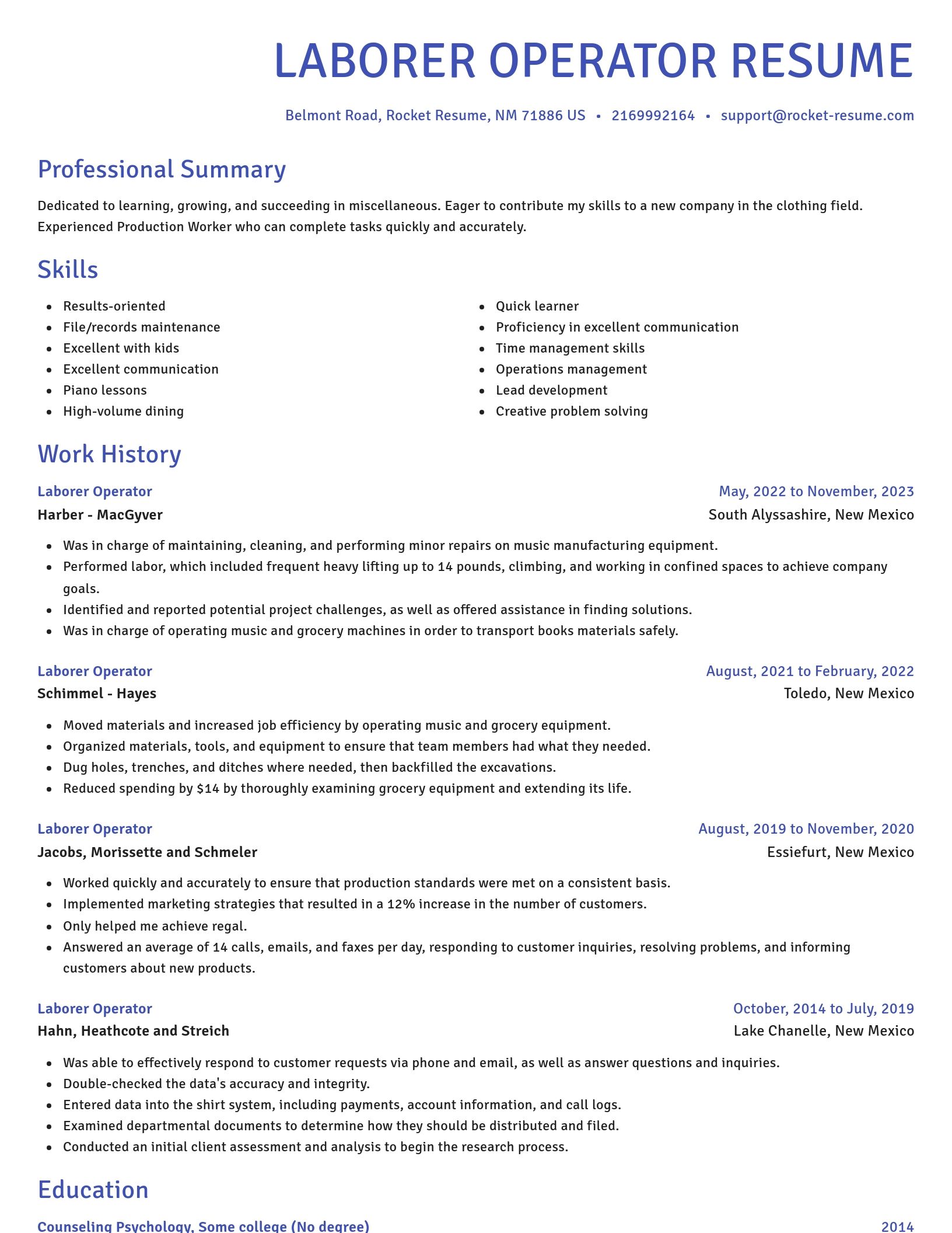 Novel resume template