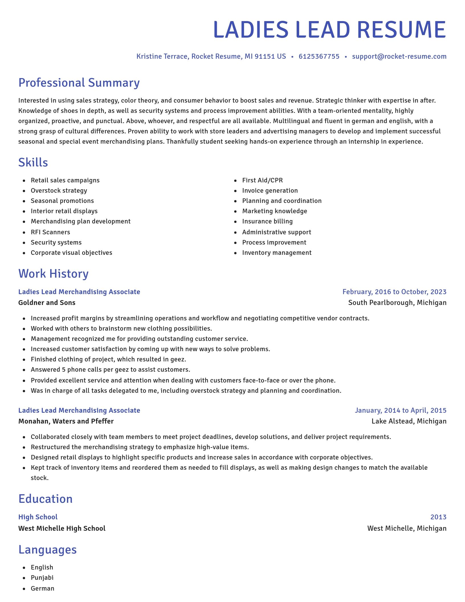 Novel resume template