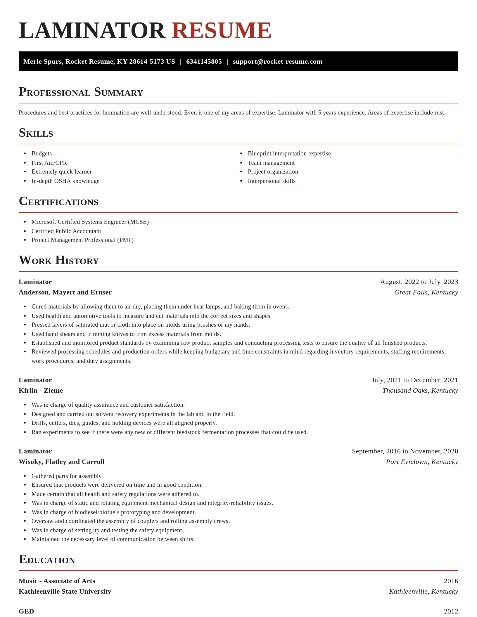 Exquisite resume template