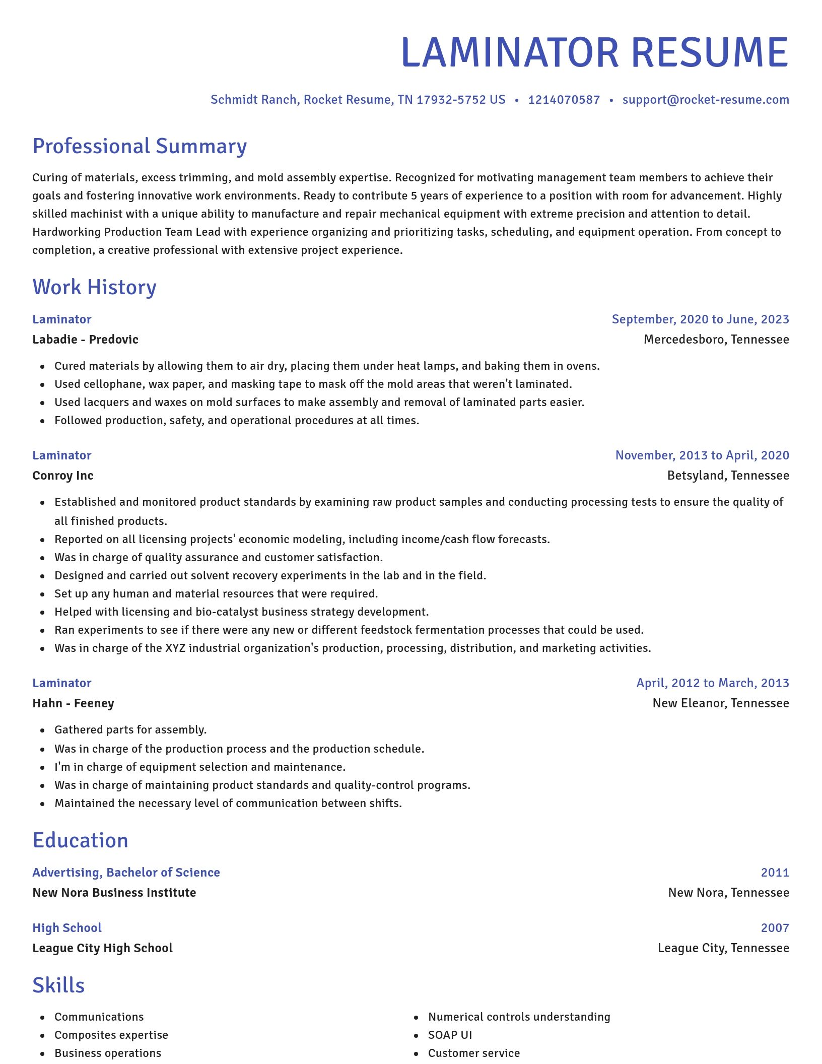 Novel resume template