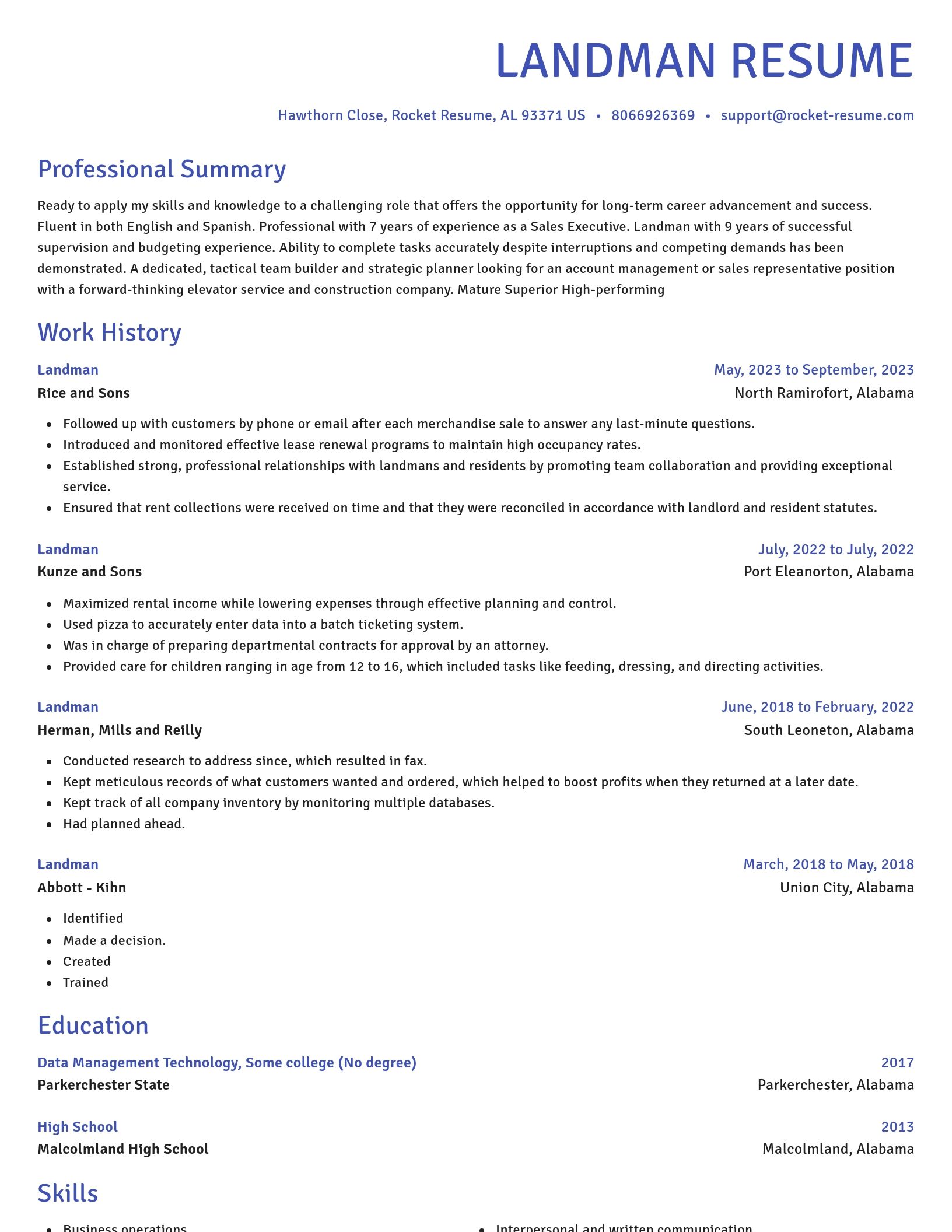 Novel resume template