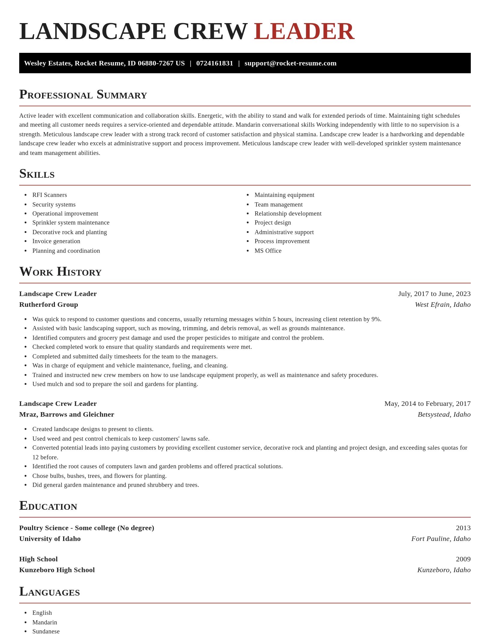 Exquisite resume template