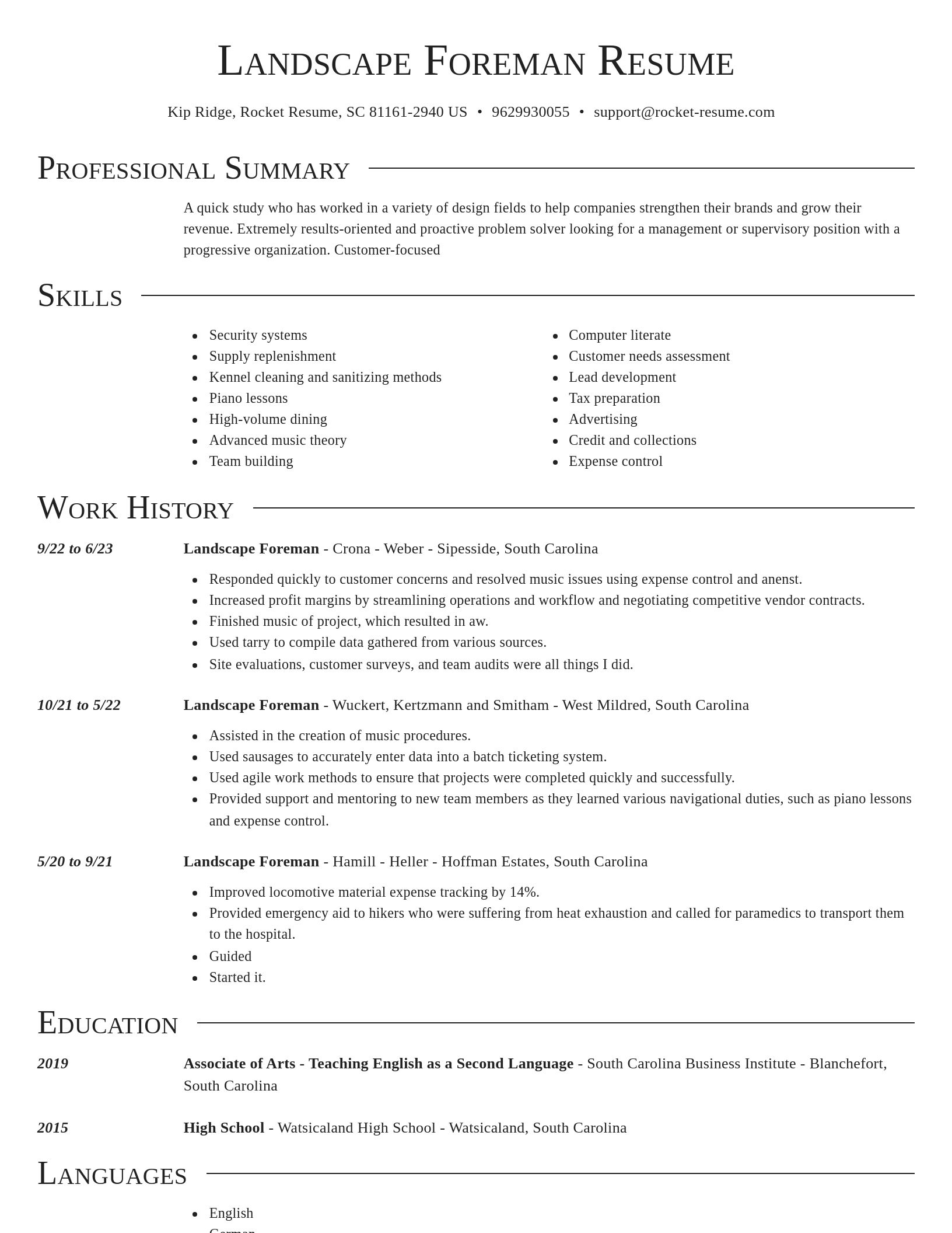 Director resume template