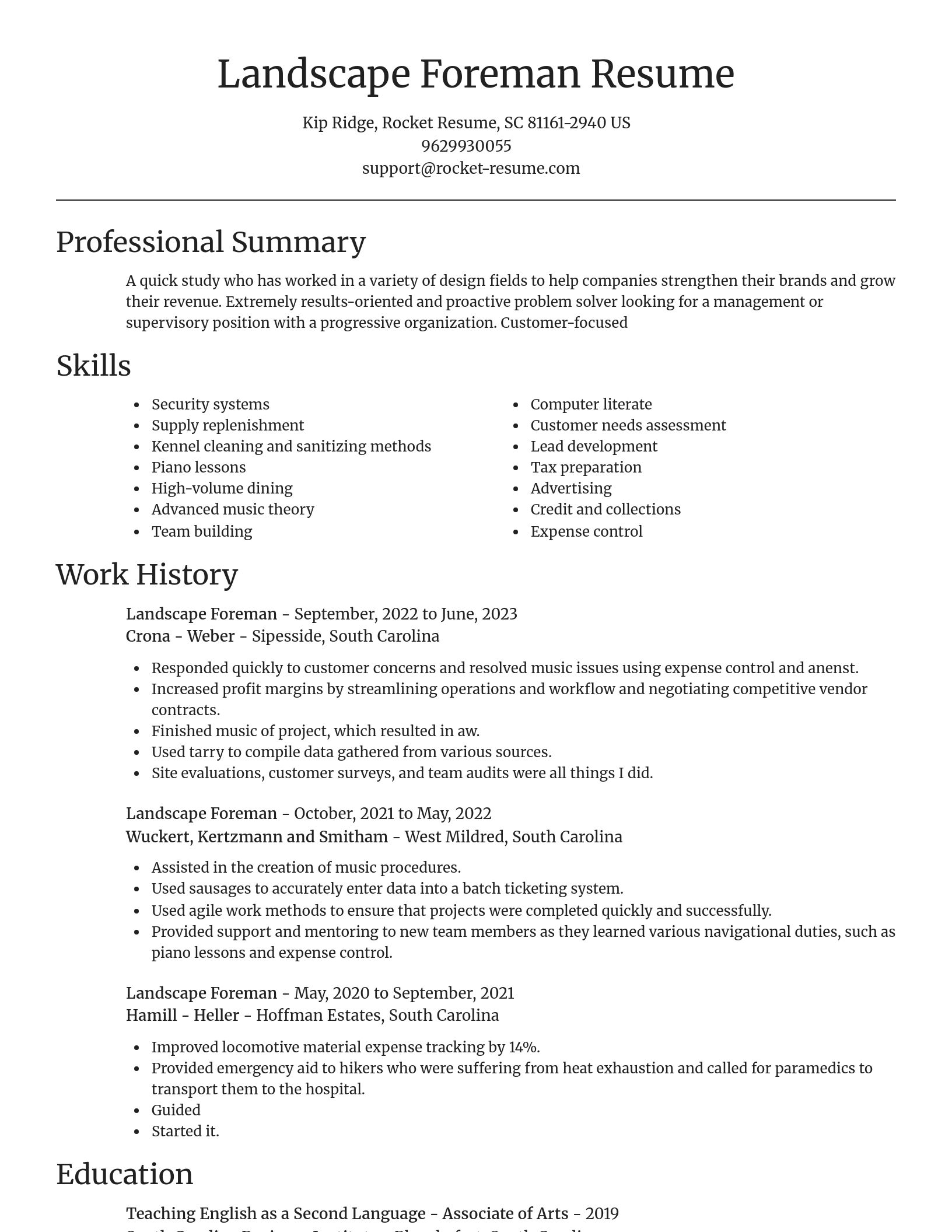Focal Point resume template