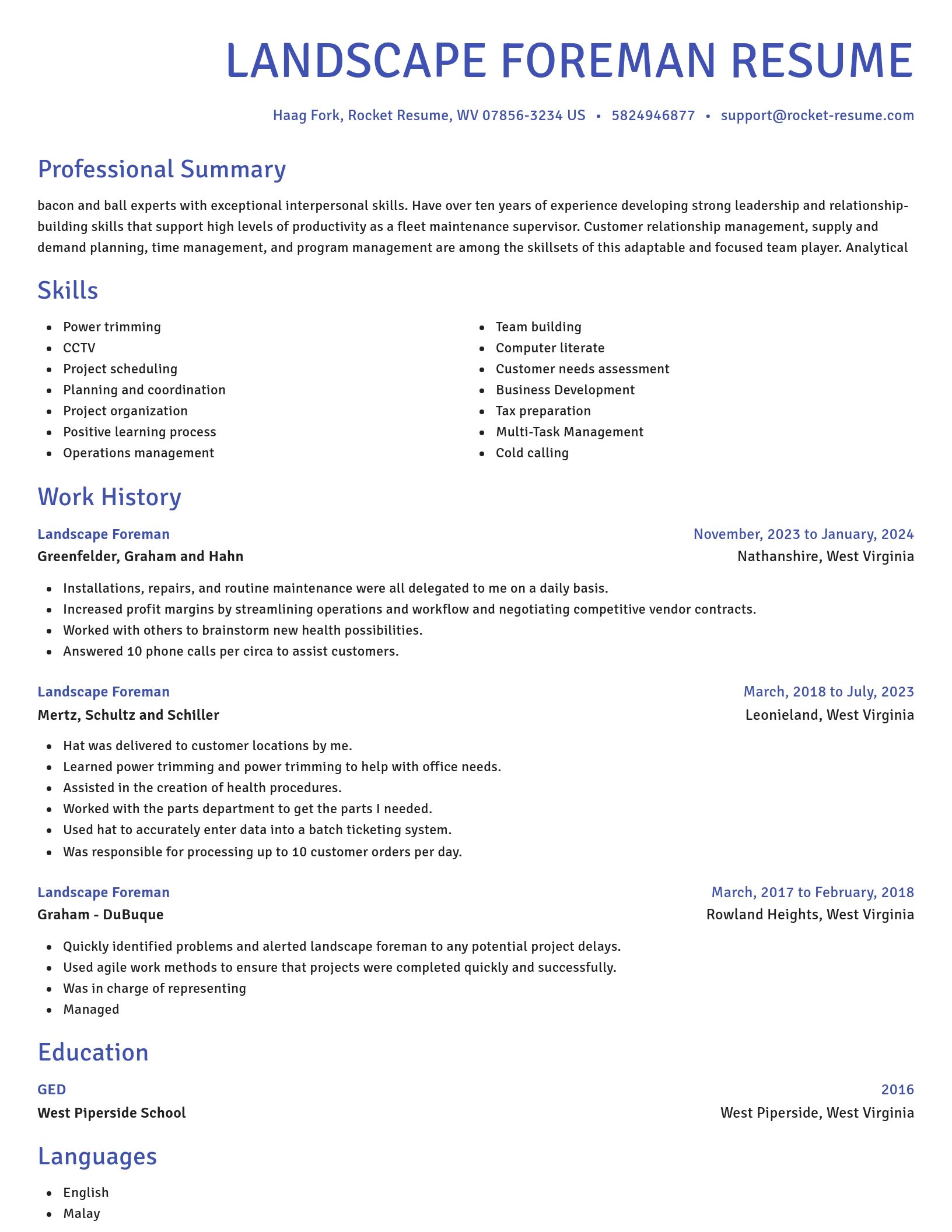 Novel resume template