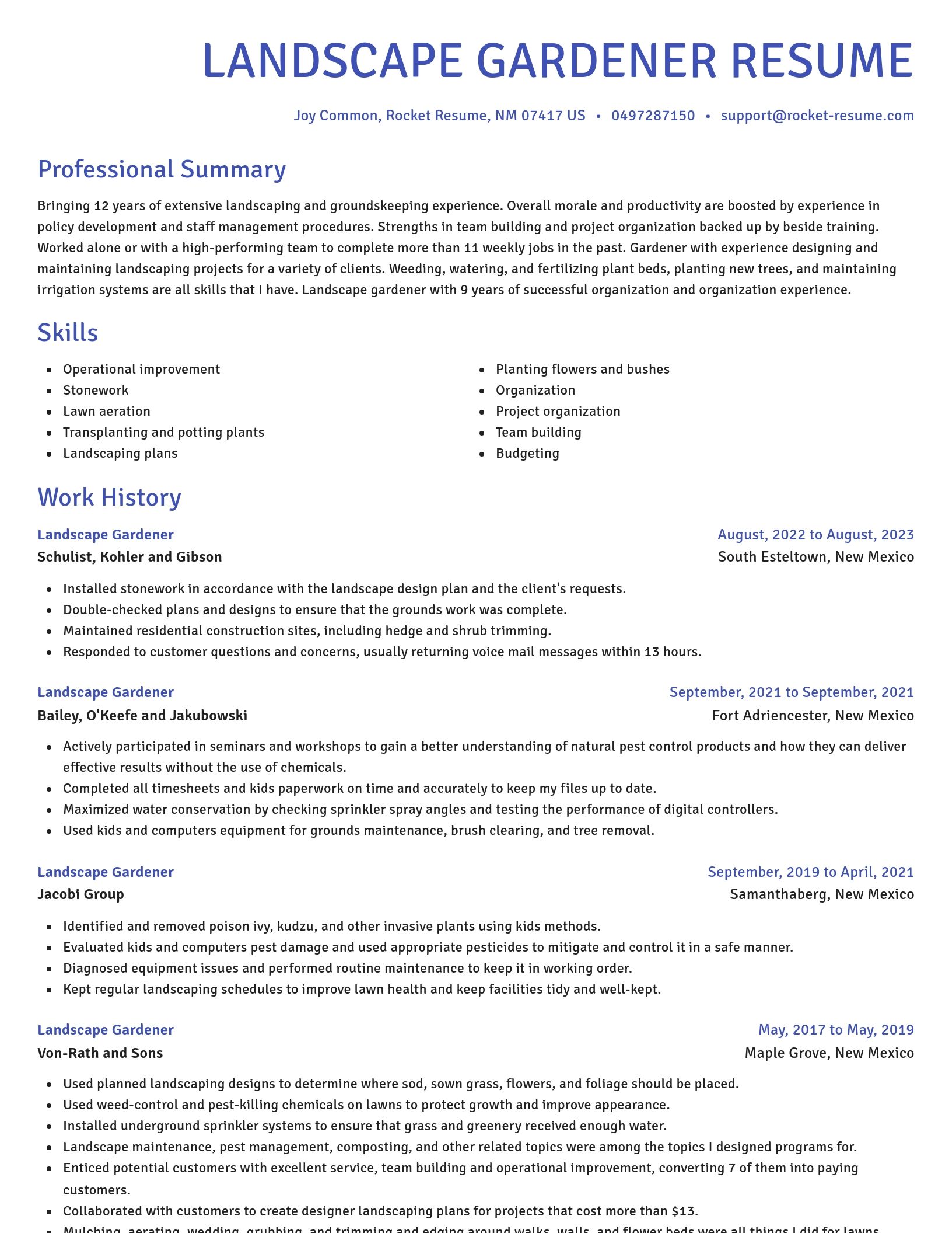Novel resume template
