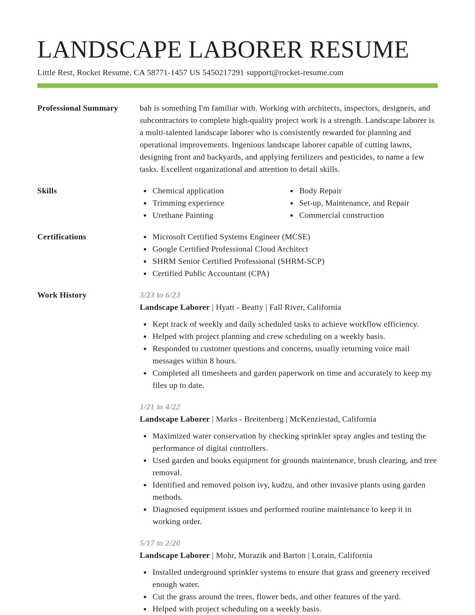 Smart resume template